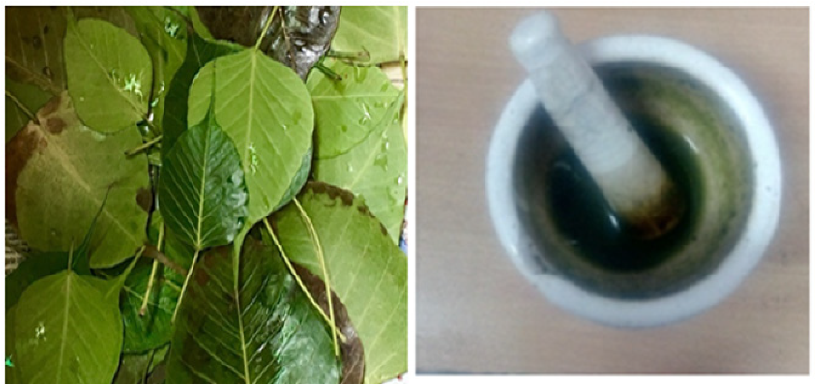 Molecules 27 01326 g001