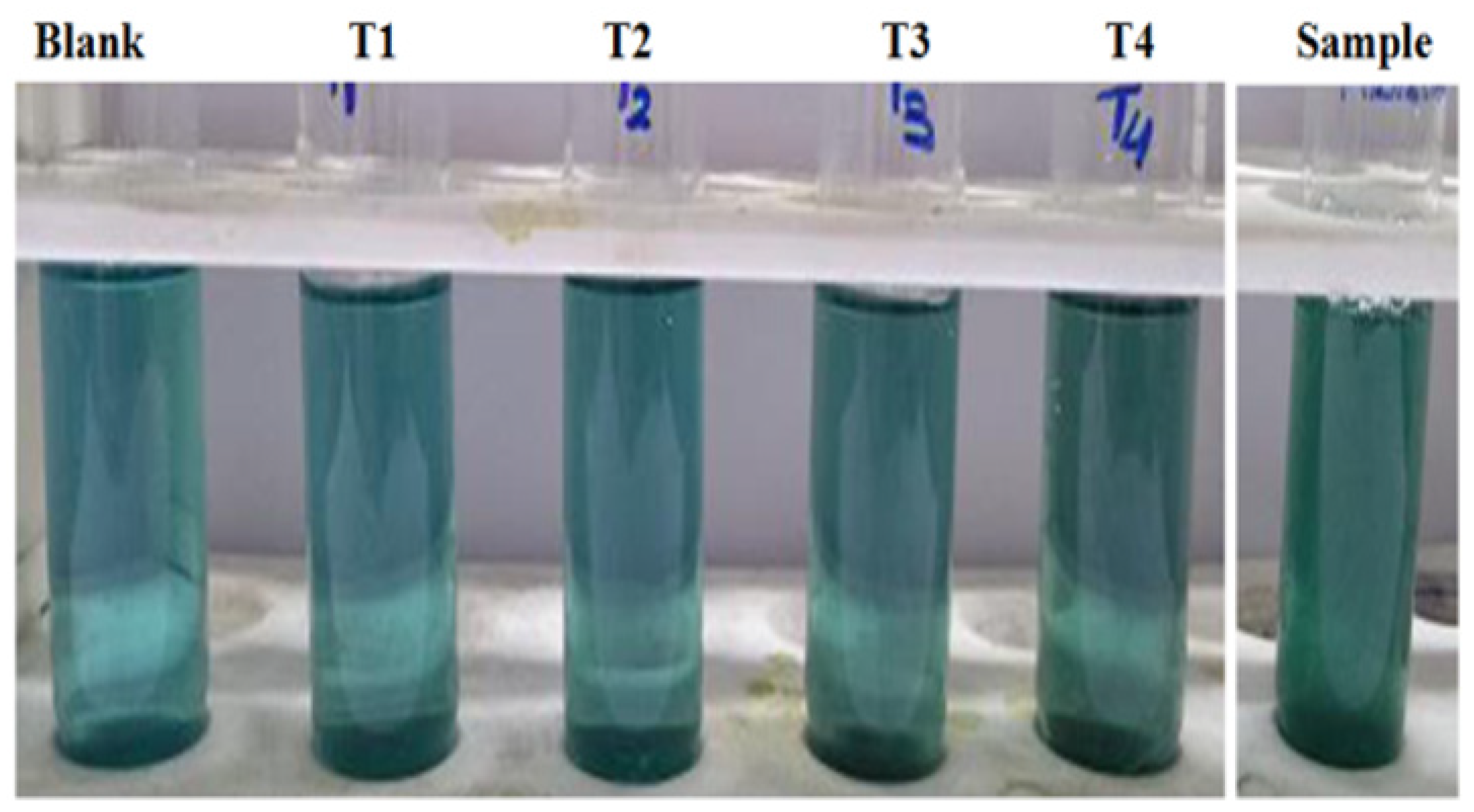 Molecules 27 01326 g003