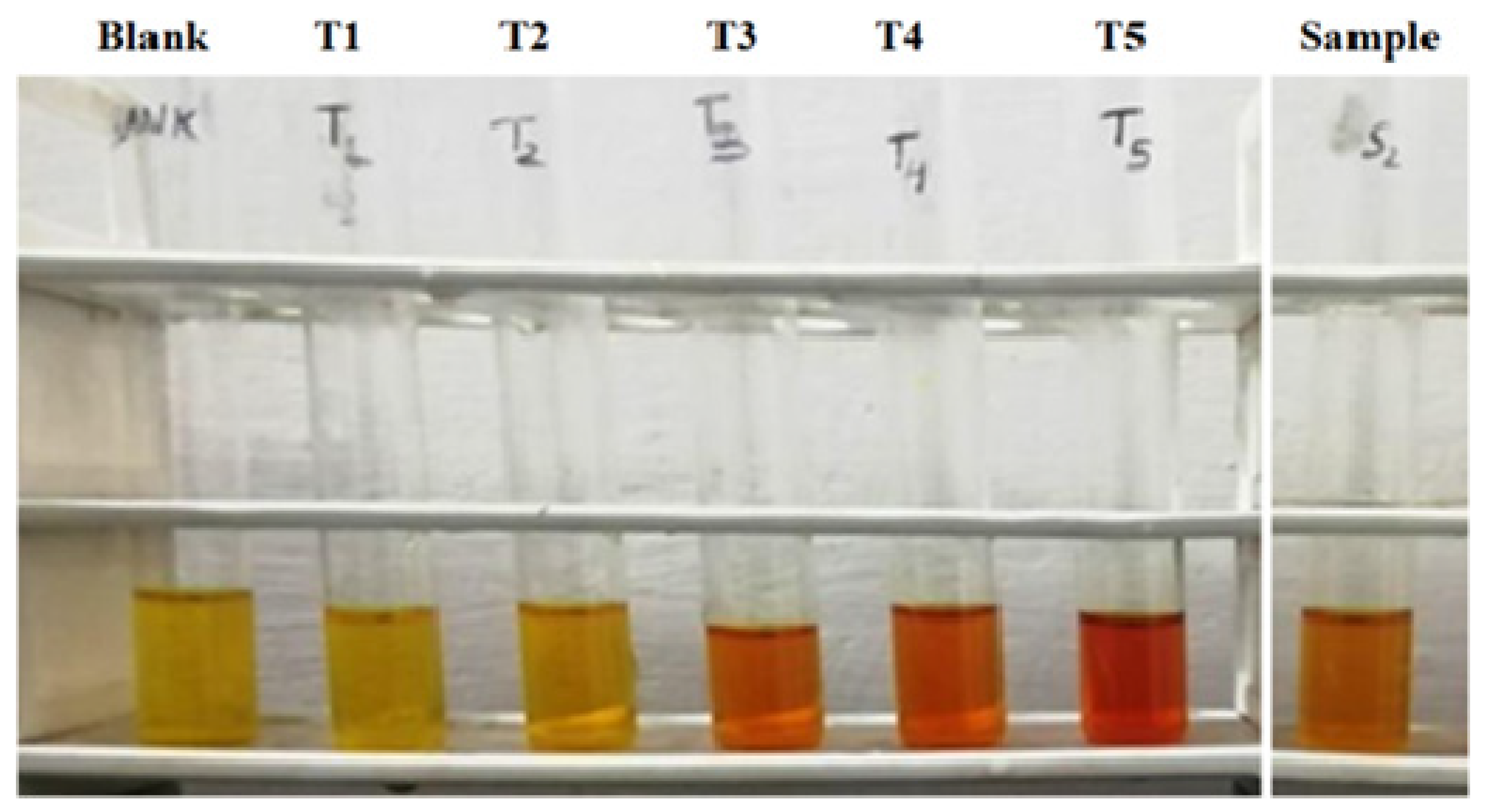 Molecules 27 01326 g007