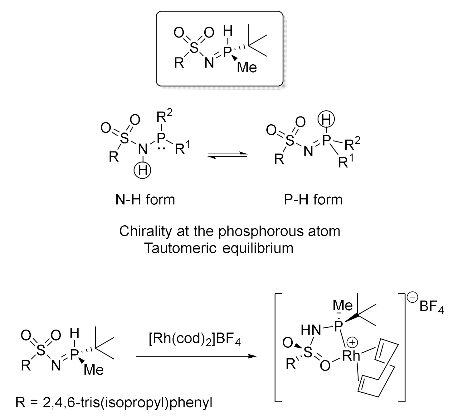 Molecules 27 01332 g005 550