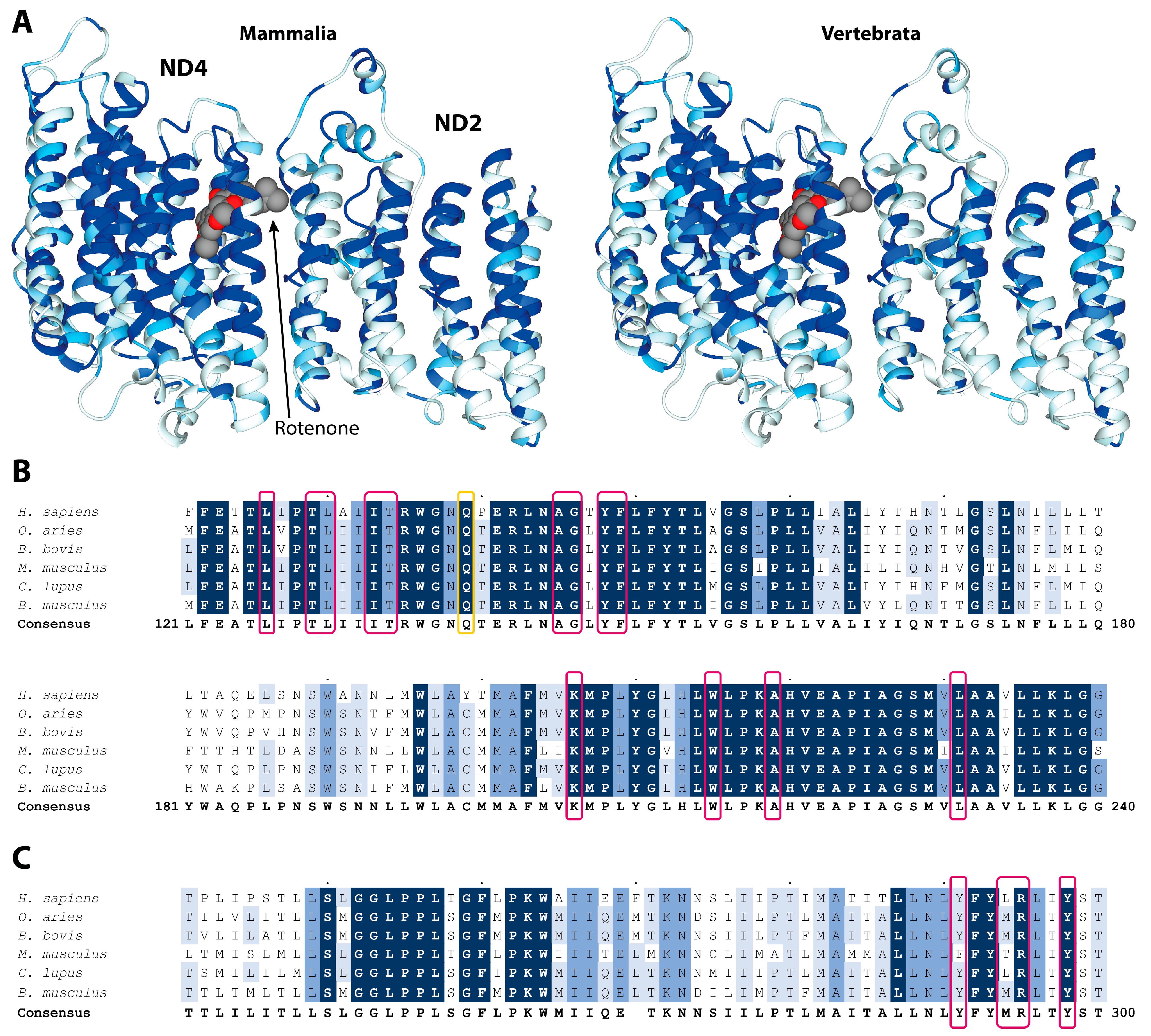 Molecules 27 01341 g002