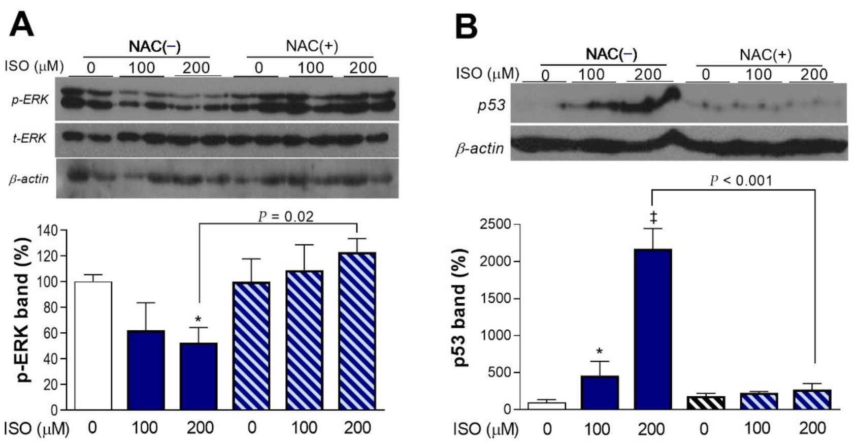 Molecules 27 01346 g004