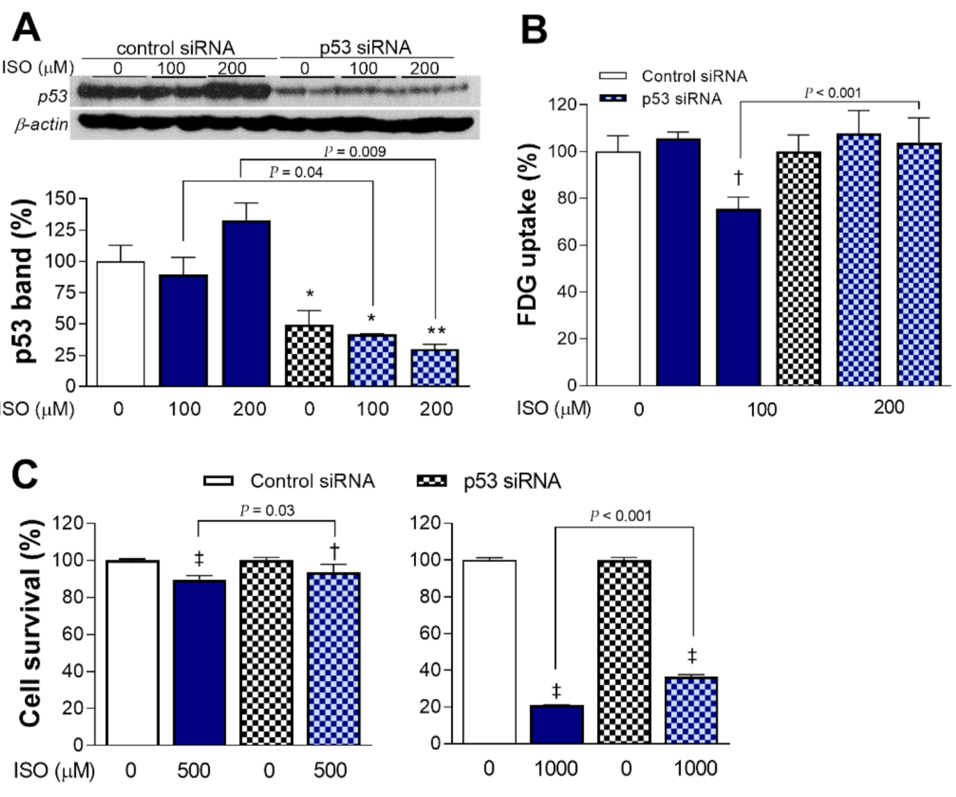 Molecules 27 01346 g005