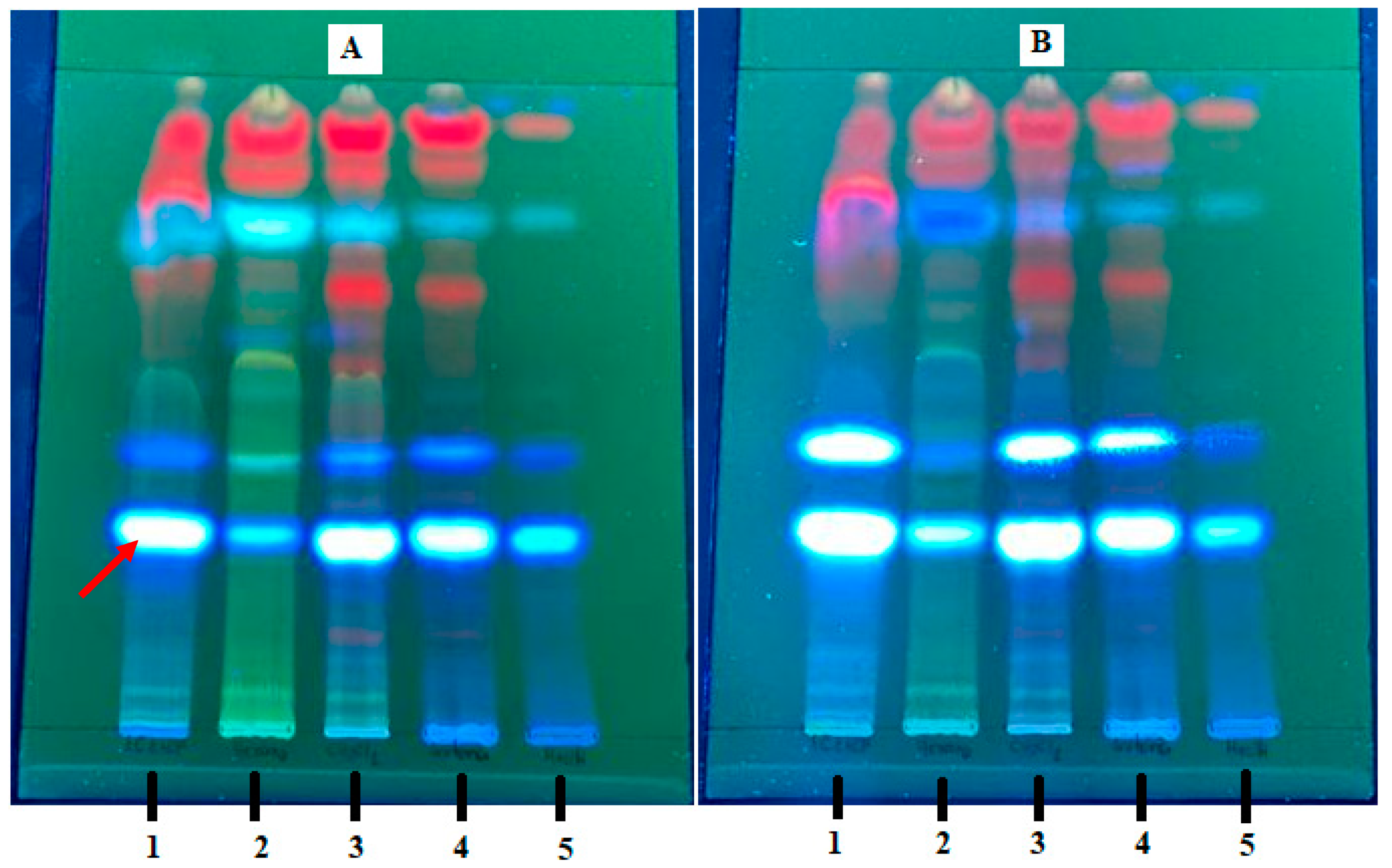 Molecules 27 01348 g001