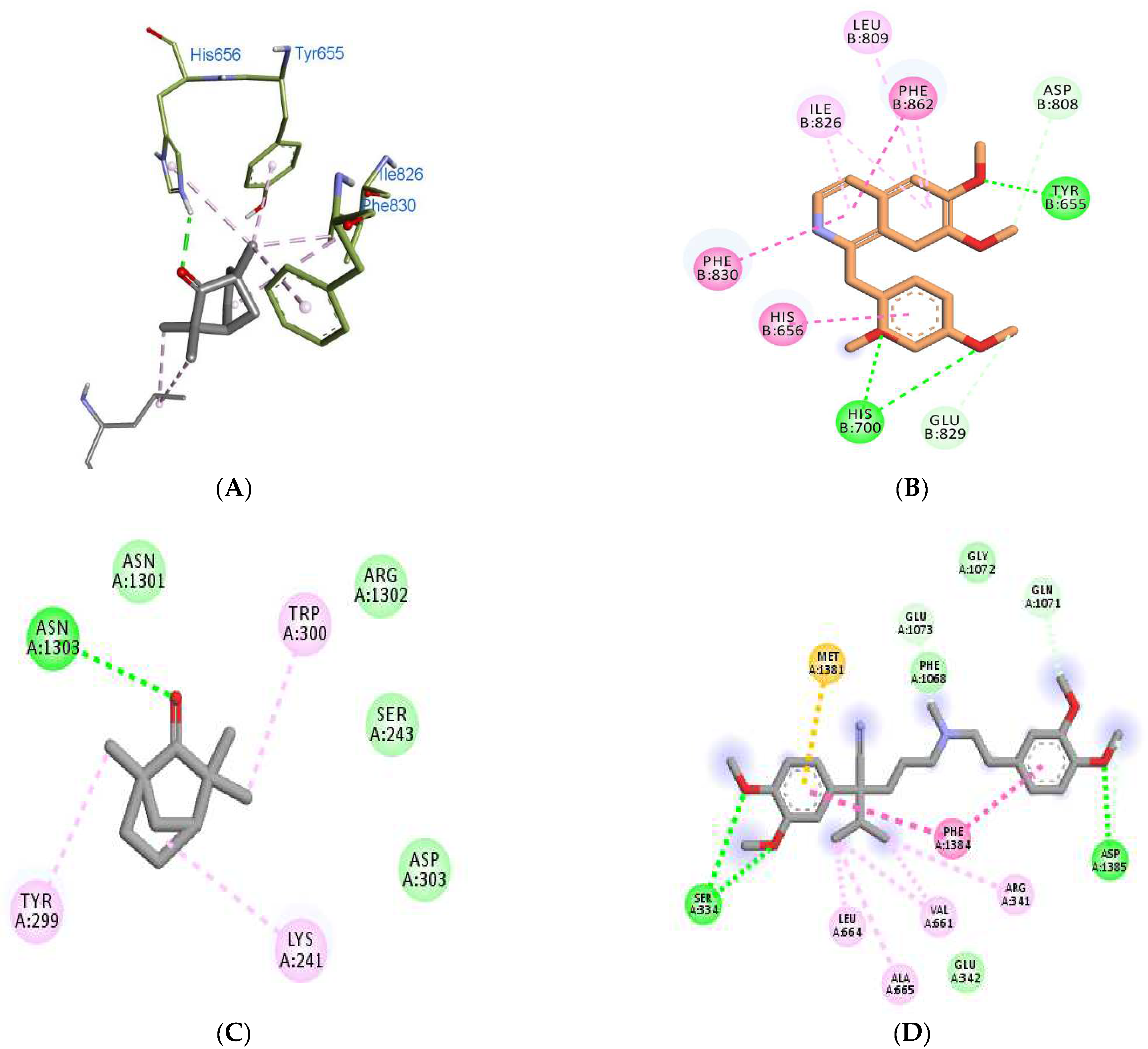 Molecules 27 01360 g006 Molecules 27 01360 g006
