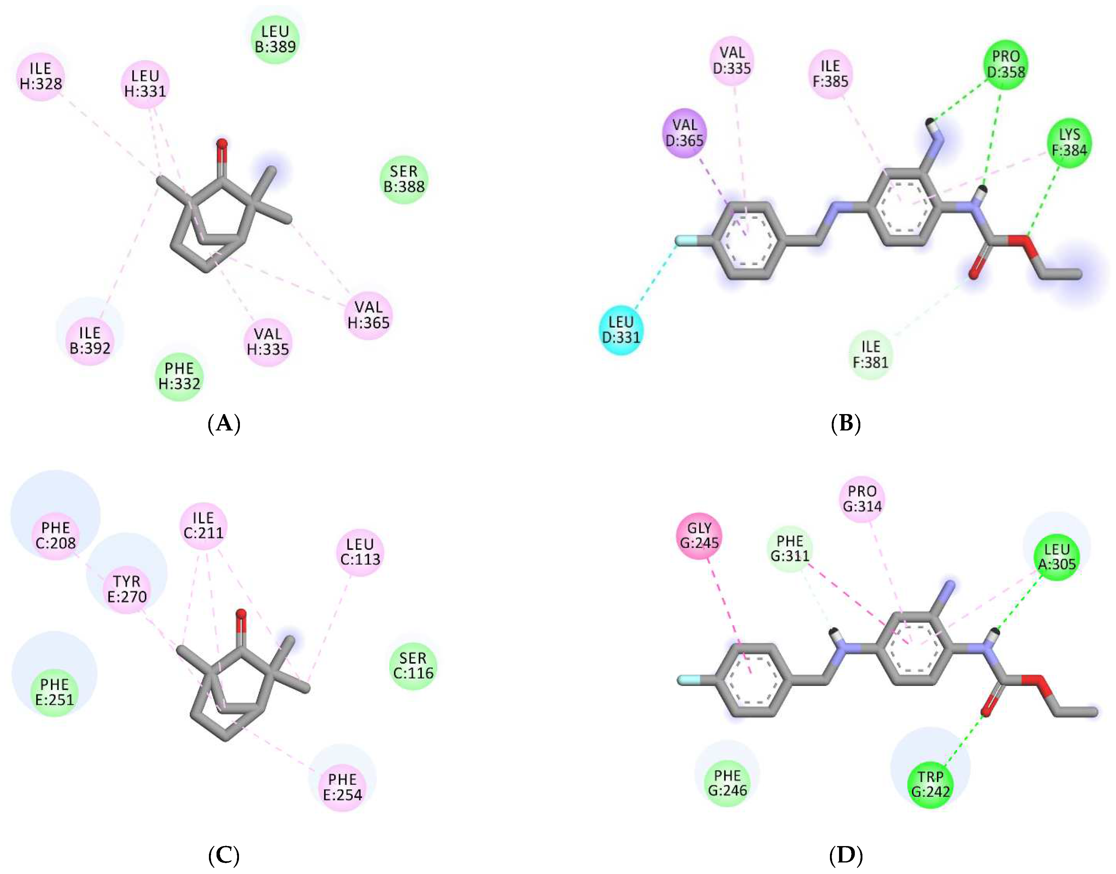 Molecules 27 01360 g007 Molecules 27 01360 g007