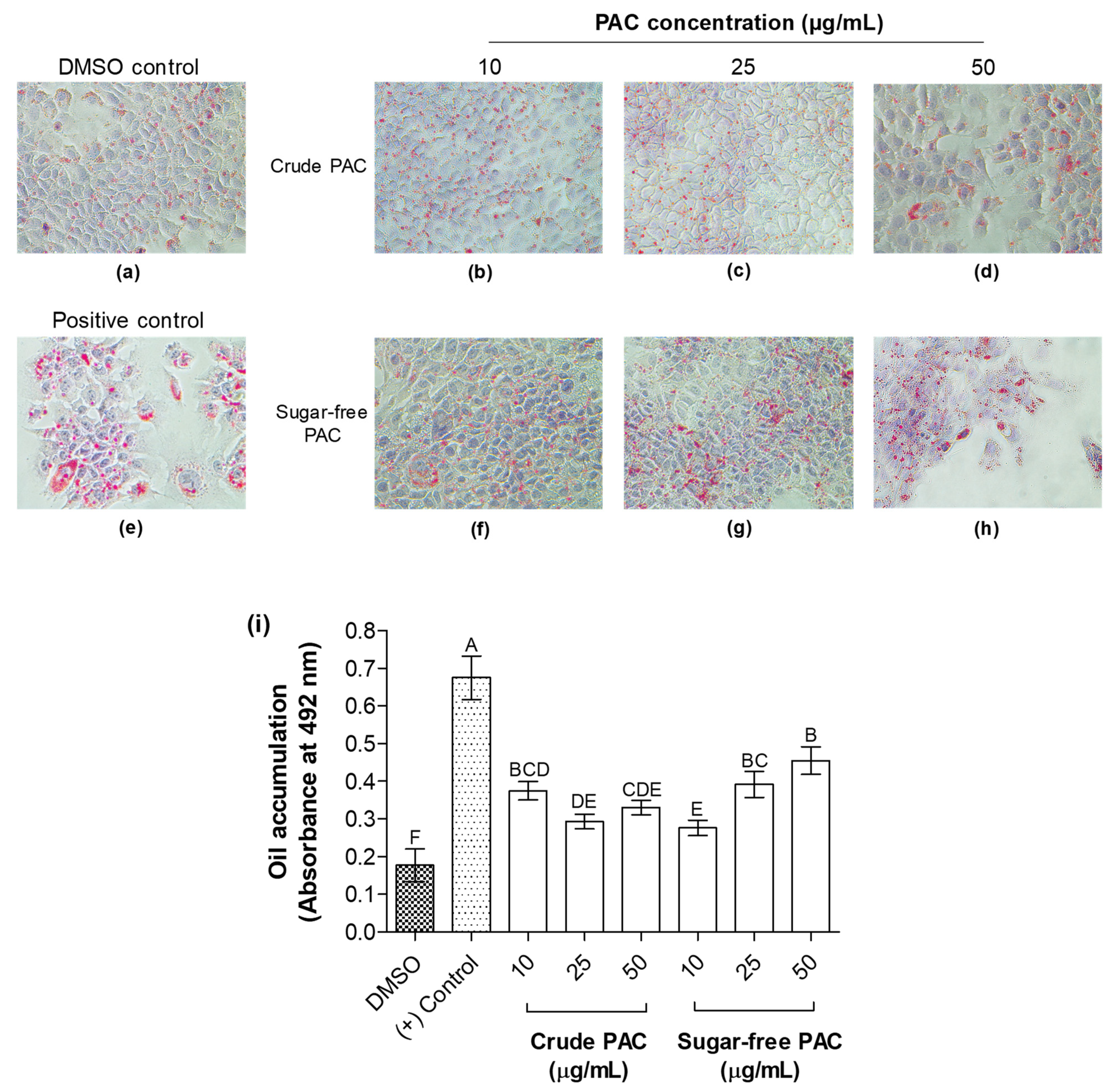 Molecules 27 01363 g007 Molecules 27 01363 g007