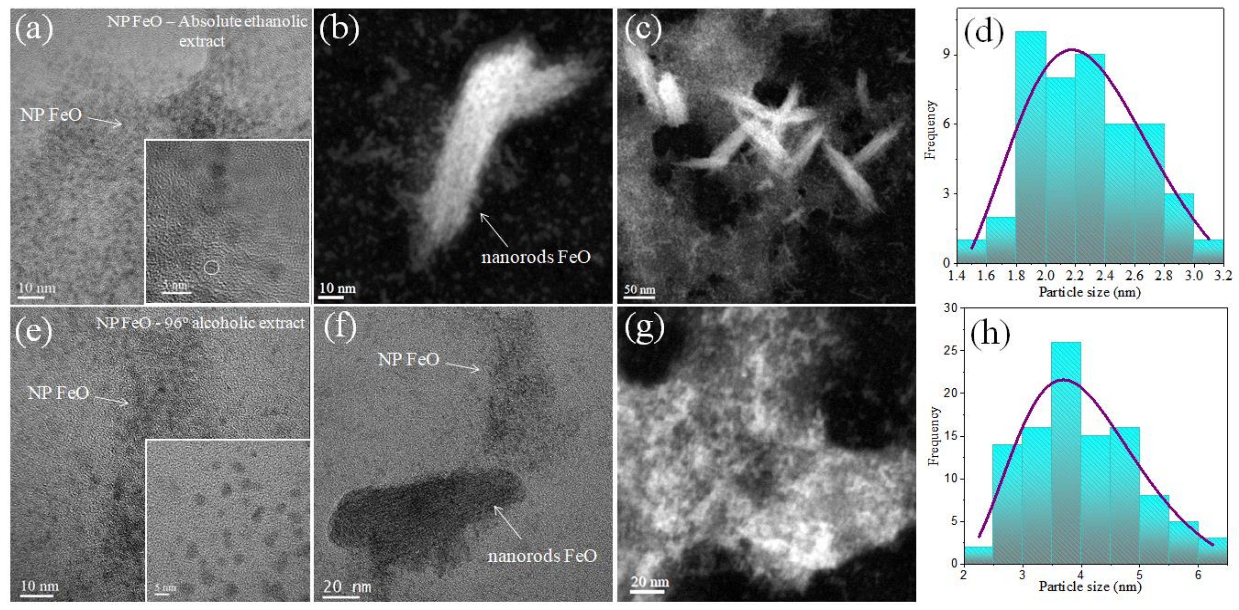 Molecules 27 01367 g007