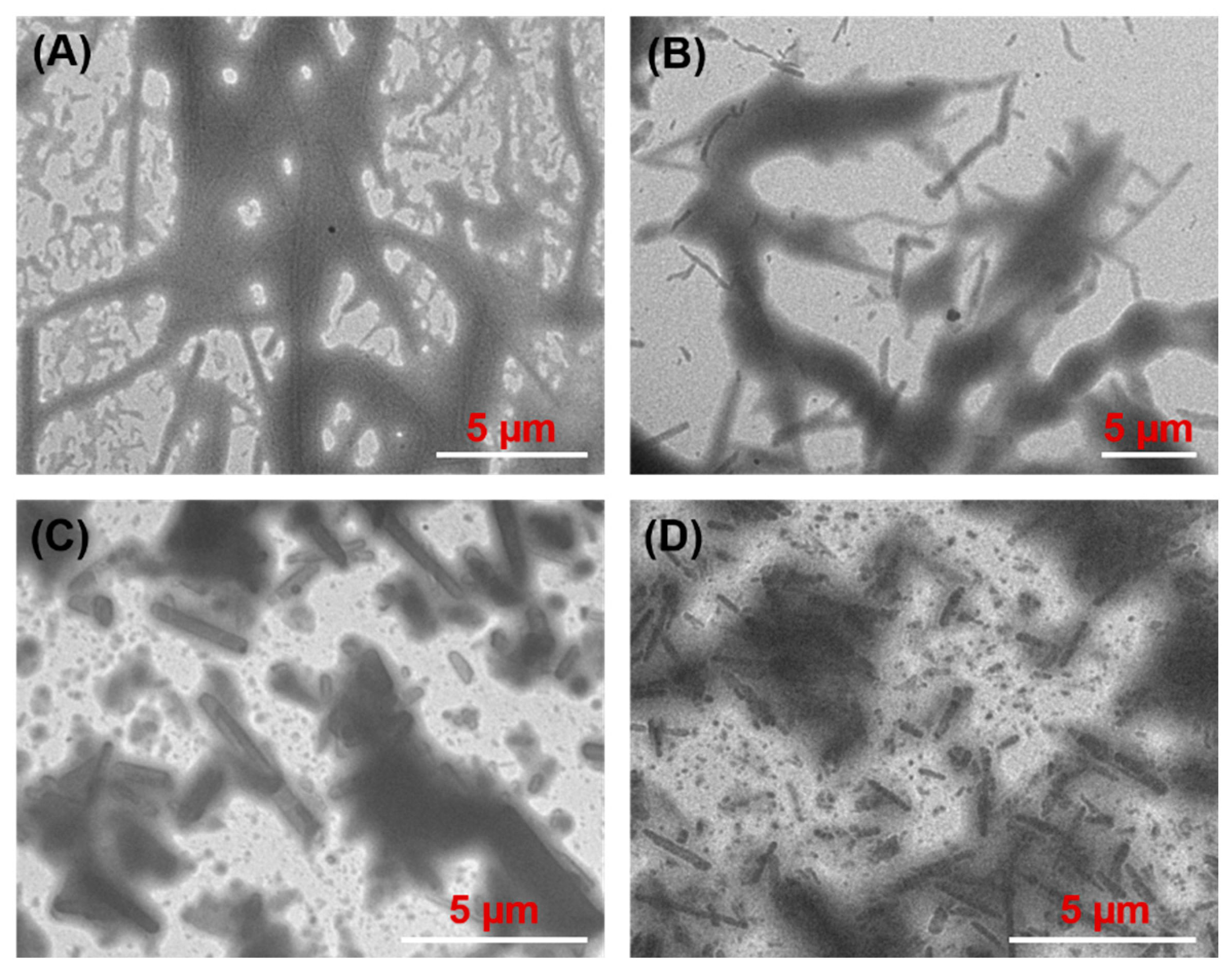 Molecules 27 01369 g004