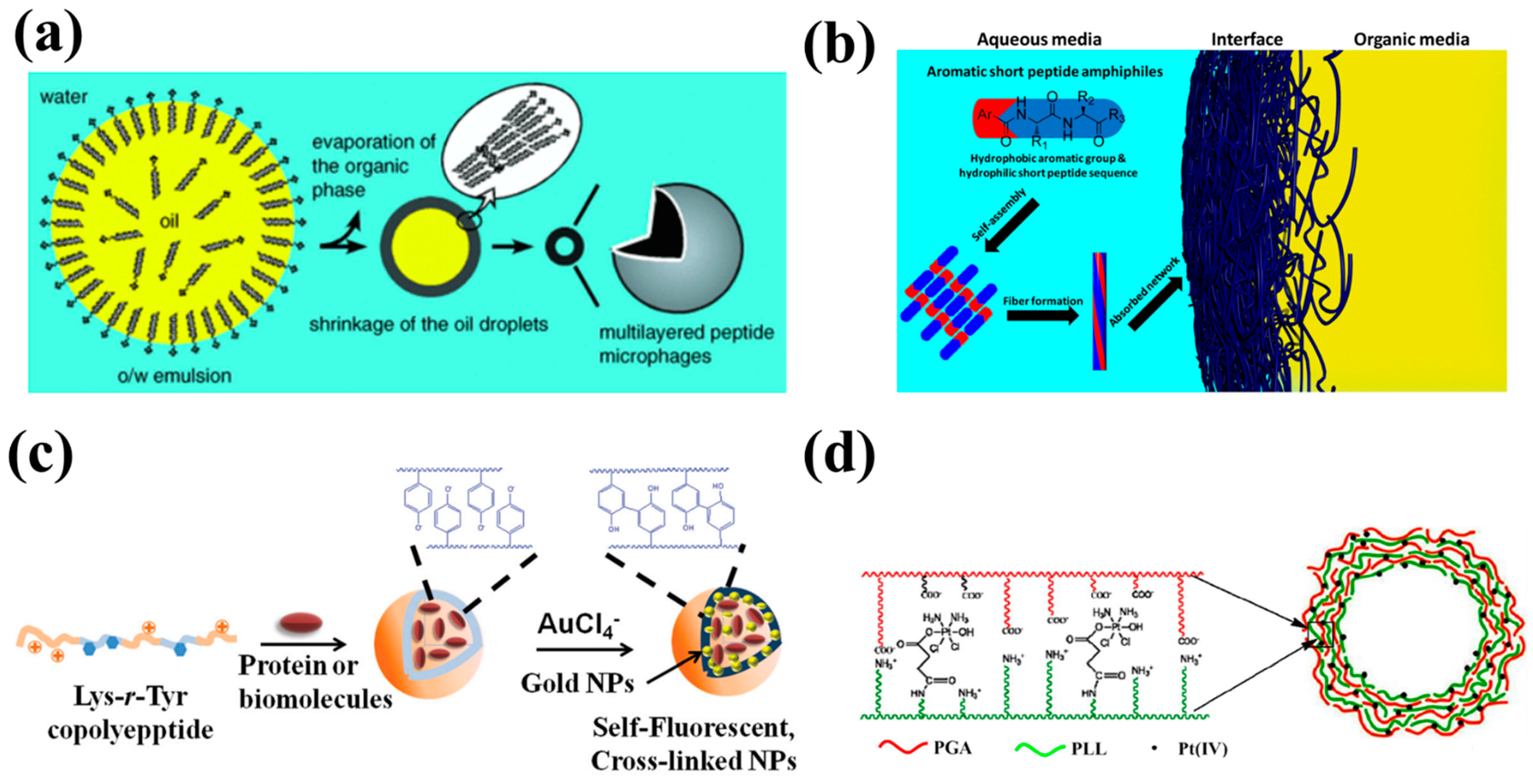 Molecules 27 01373 g002 550