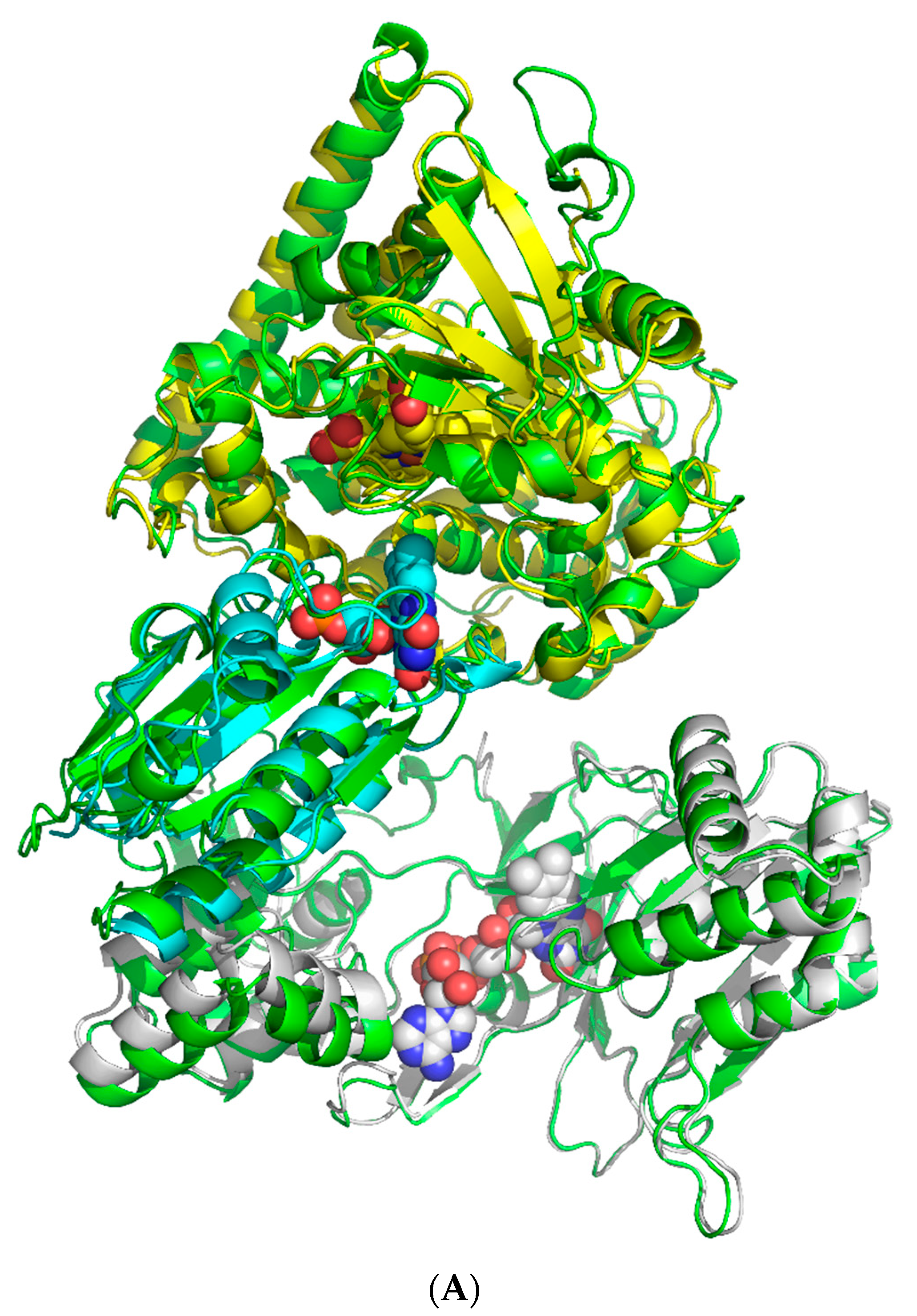 Molecules 27 01386 g001a