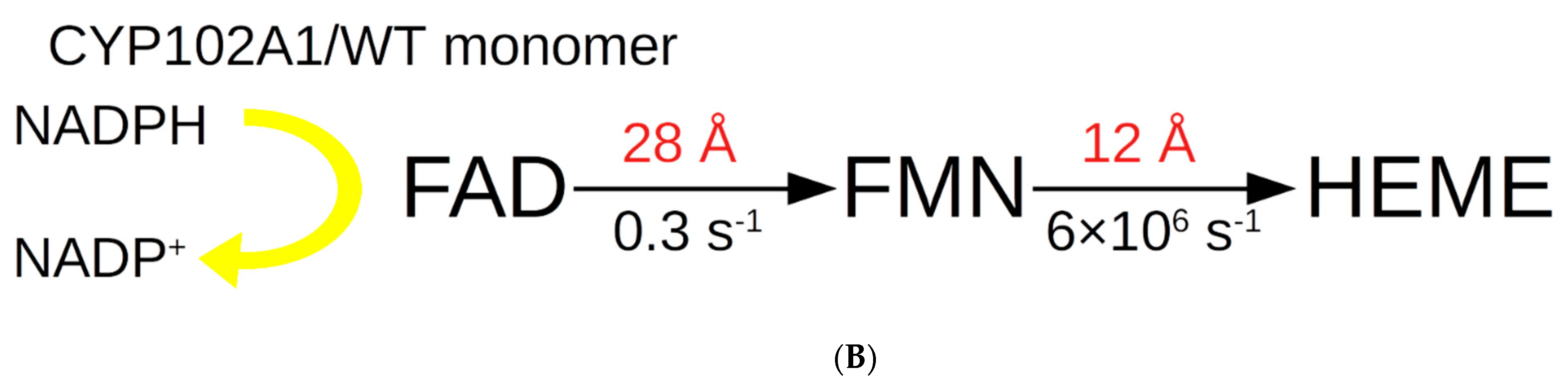 Molecules 27 01386 g001b