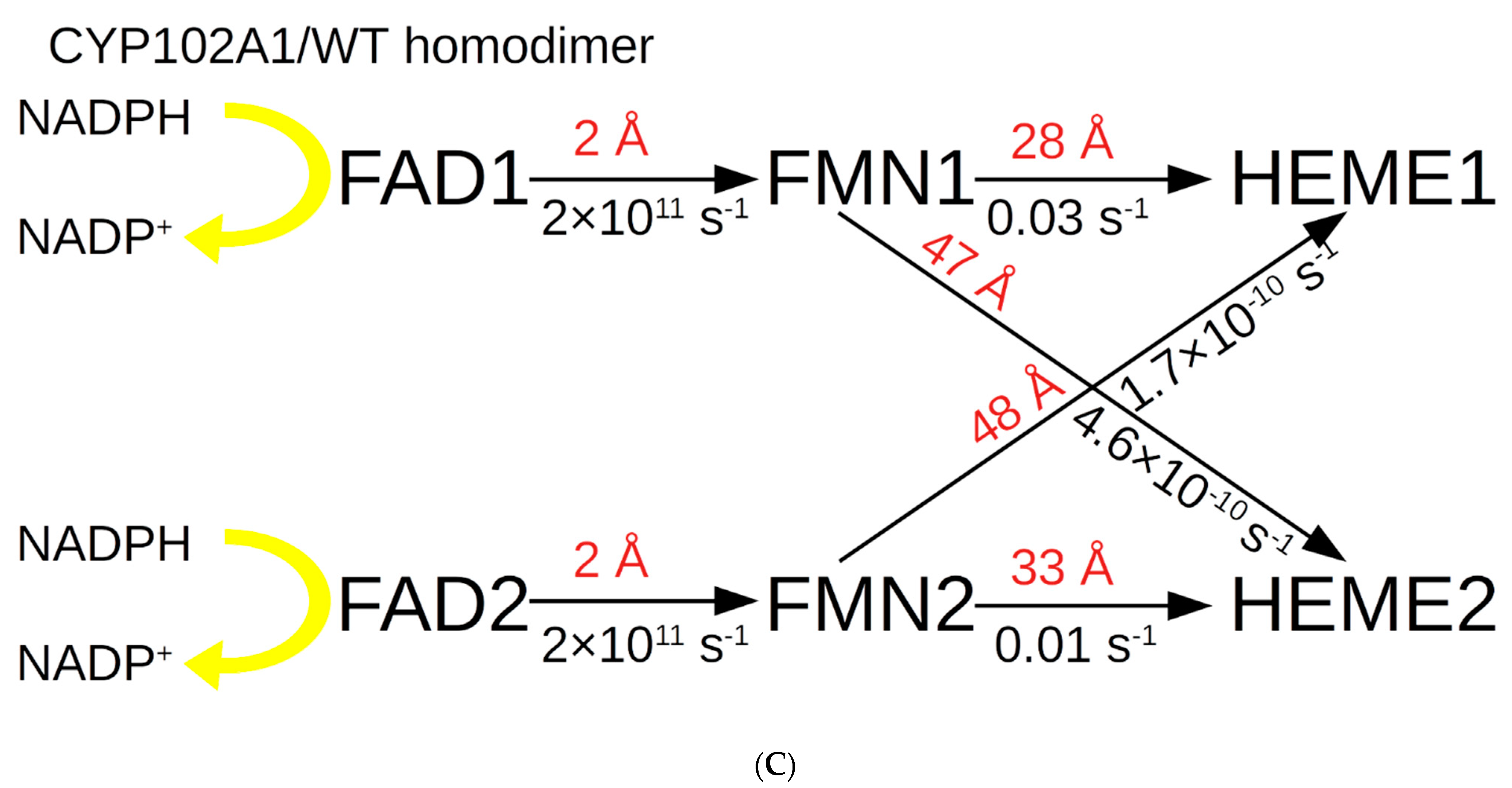 Molecules 27 01386 g002b