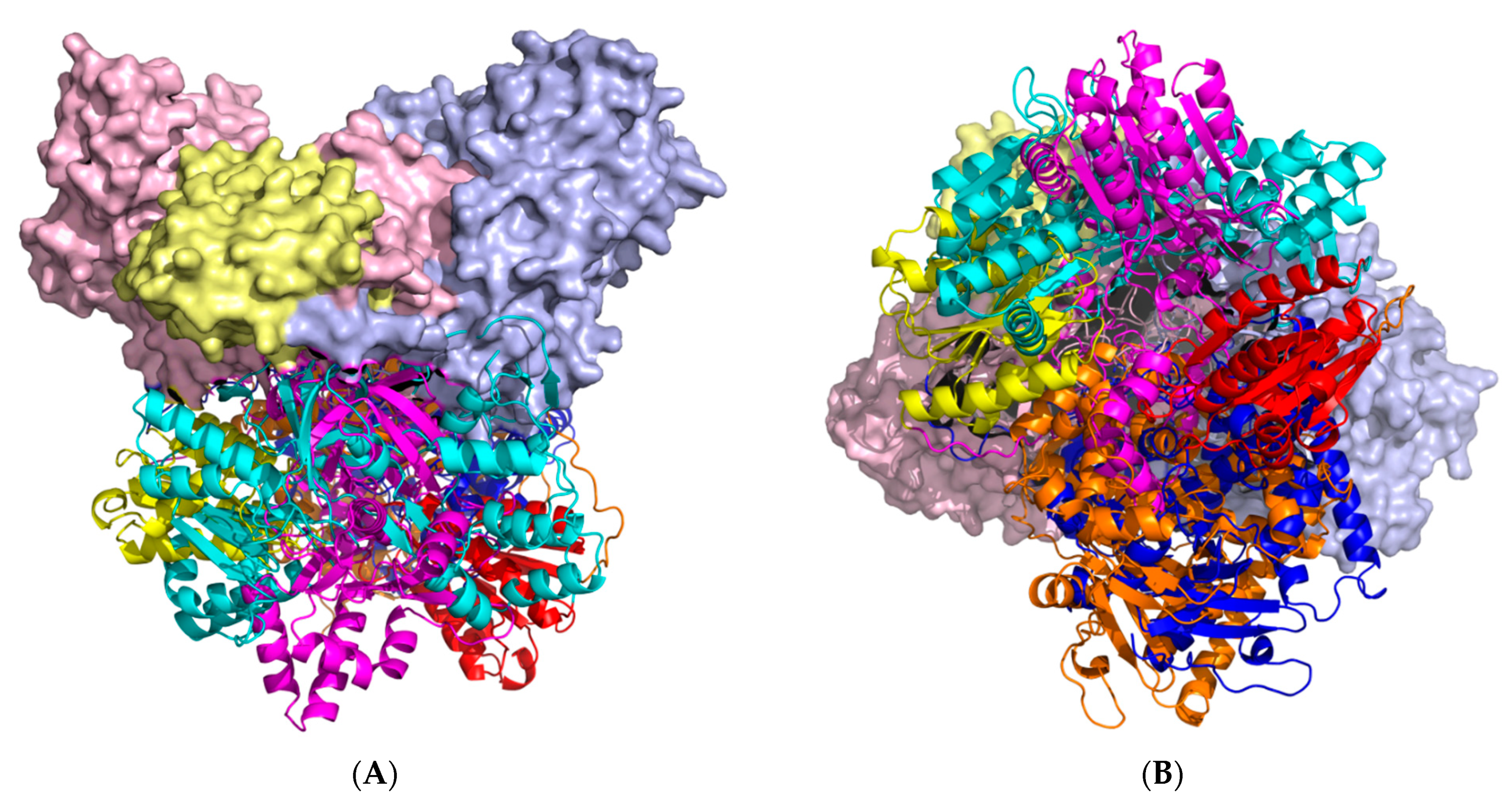 Molecules 27 01386 g003
