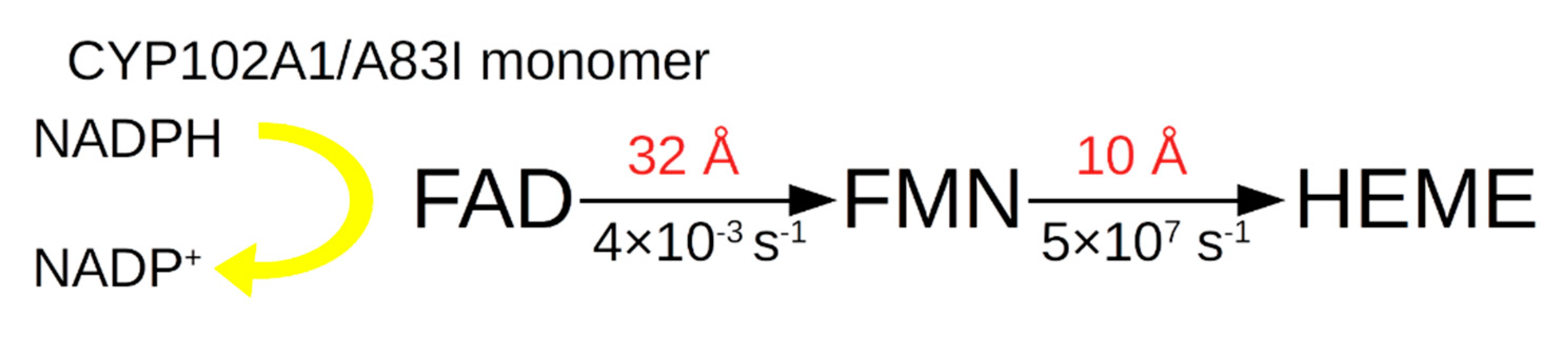 Molecules 27 01386 g004