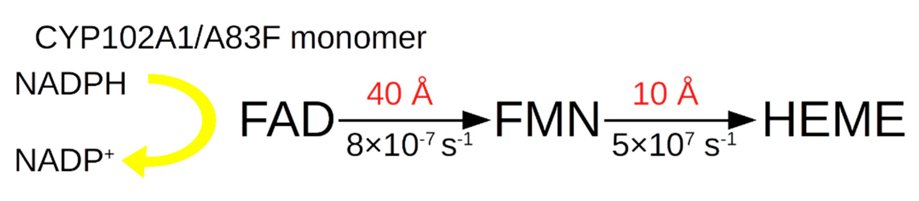Molecules 27 01386 g005