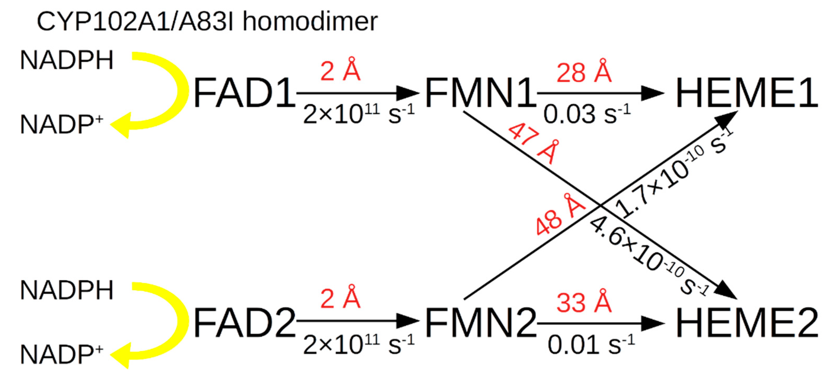 Molecules 27 01386 g006