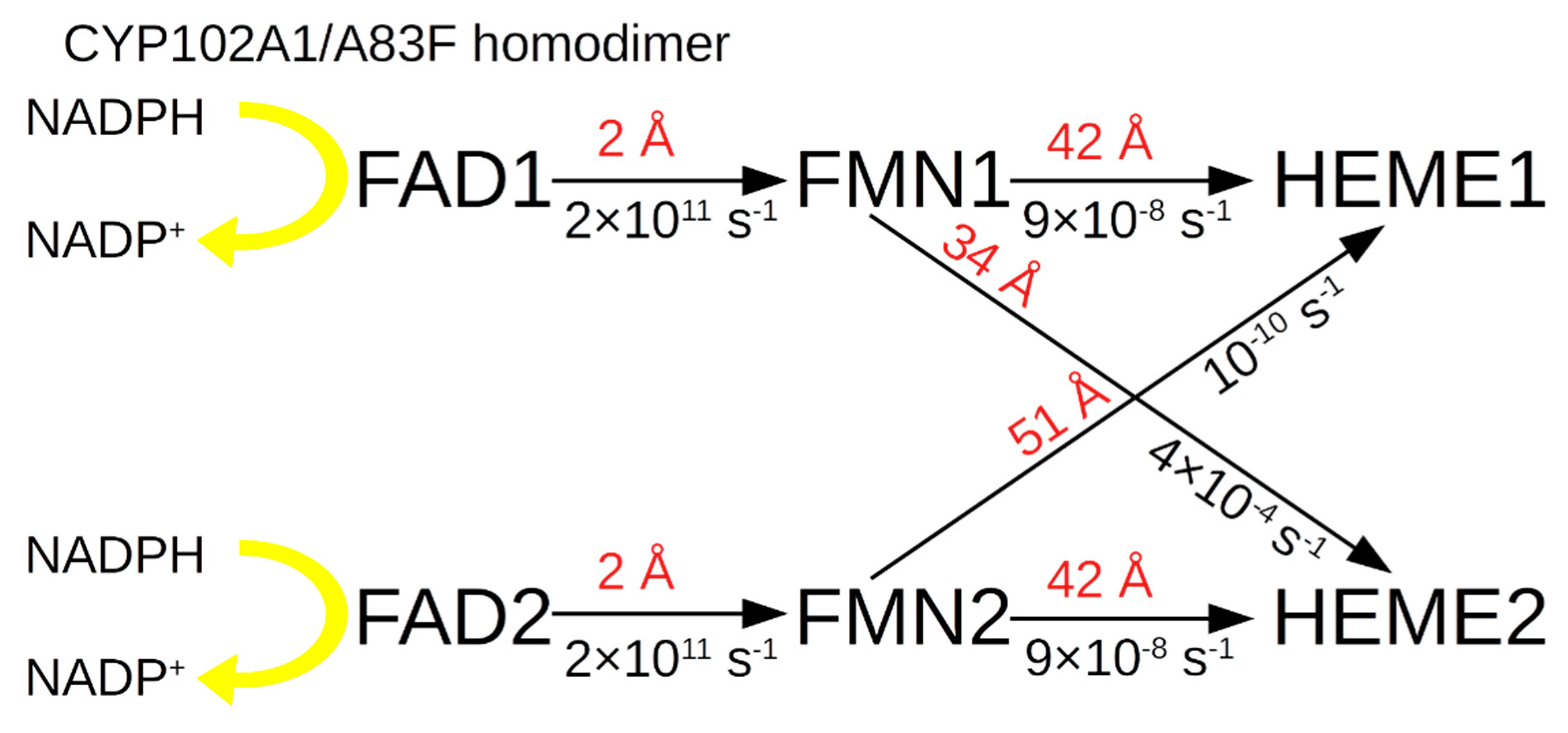 Molecules 27 01386 g007