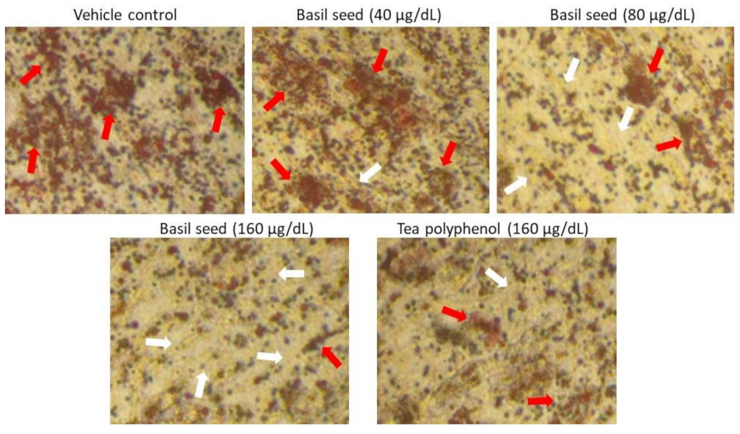 Molecules 27 01388 g003 550