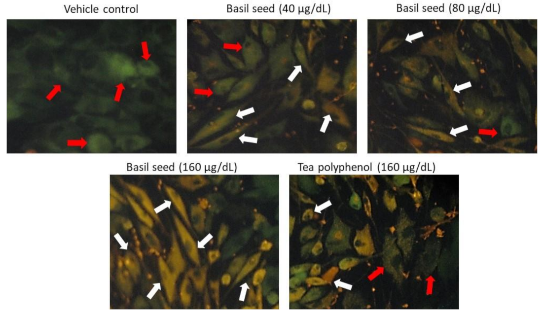 Molecules 27 01388 g006 550