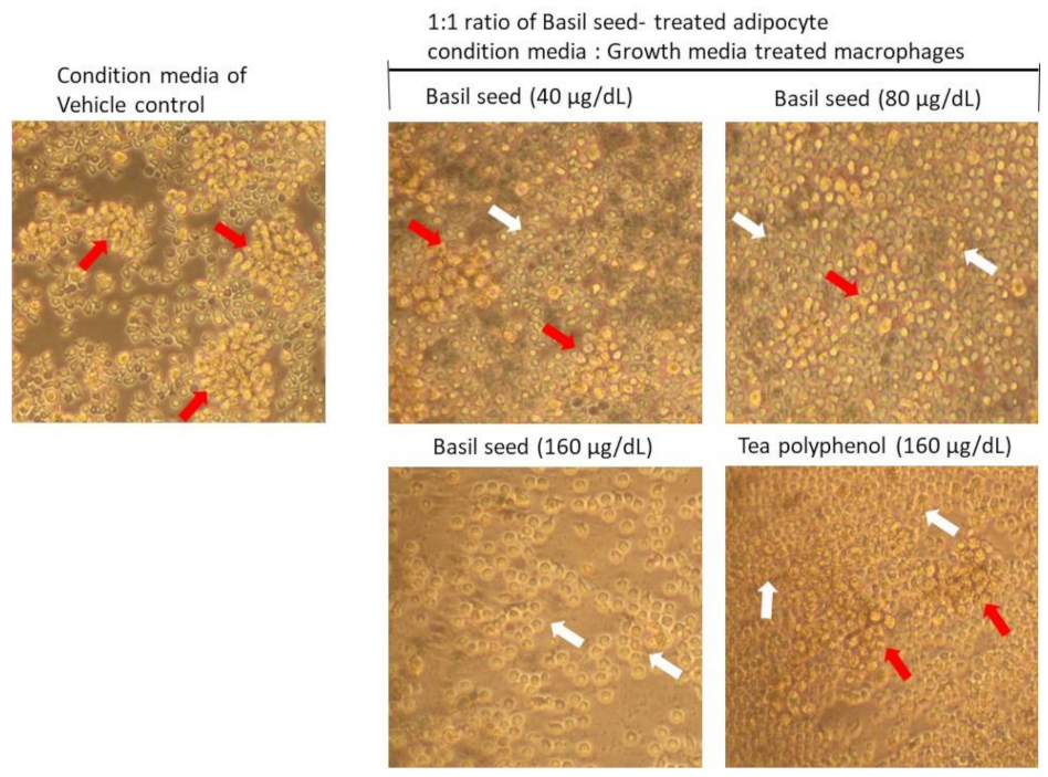 Molecules 27 01388 g009 550