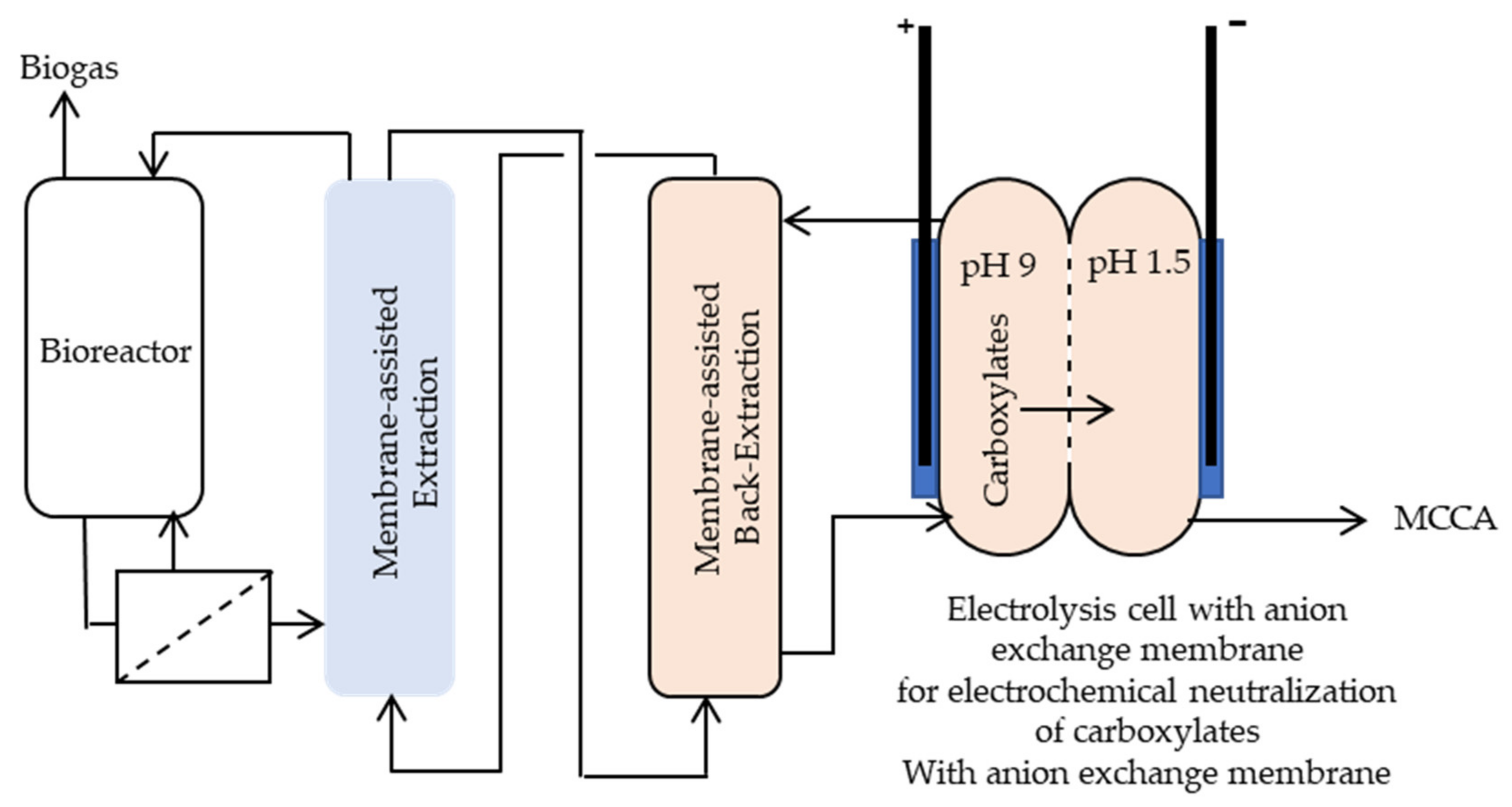 Molecules 27 01389 g006 Molecules 27 01389 g006
