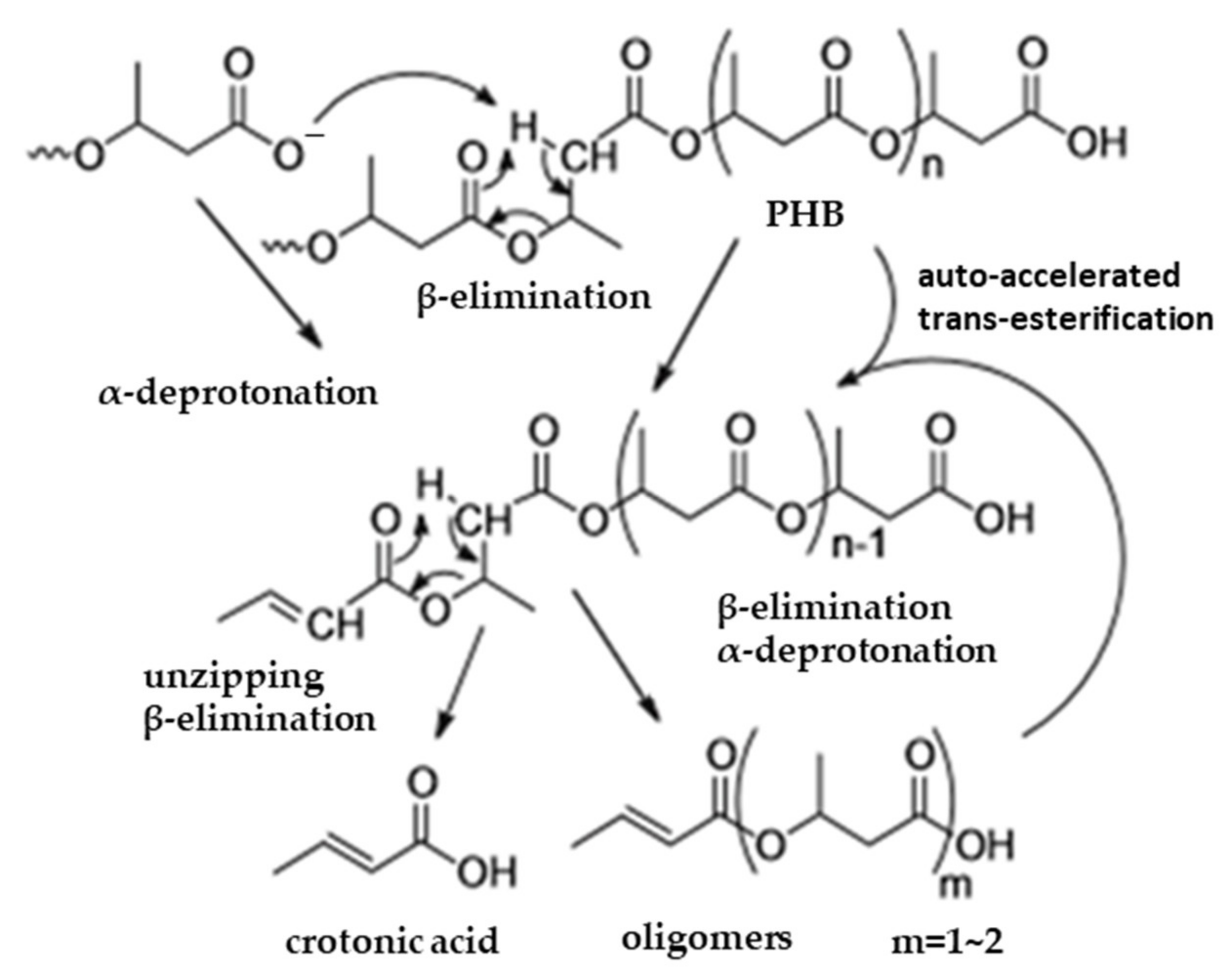 Molecules 27 01389 g009 Molecules 27 01389 g009