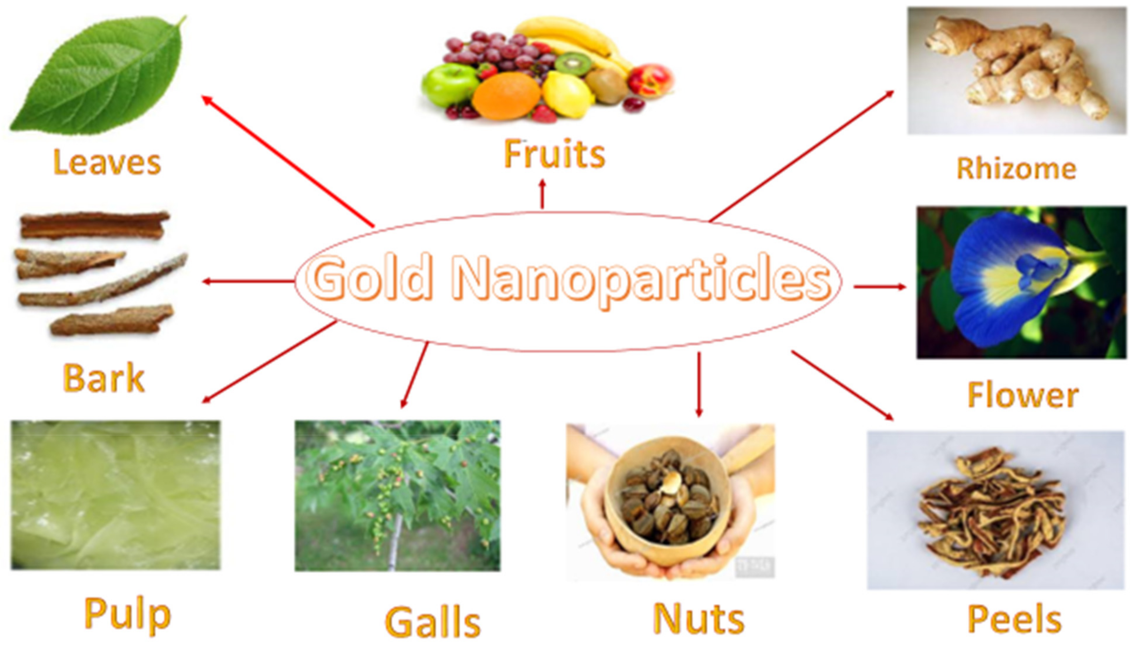 Molecules 27 01391 g002 Molecules 27 01391 g002