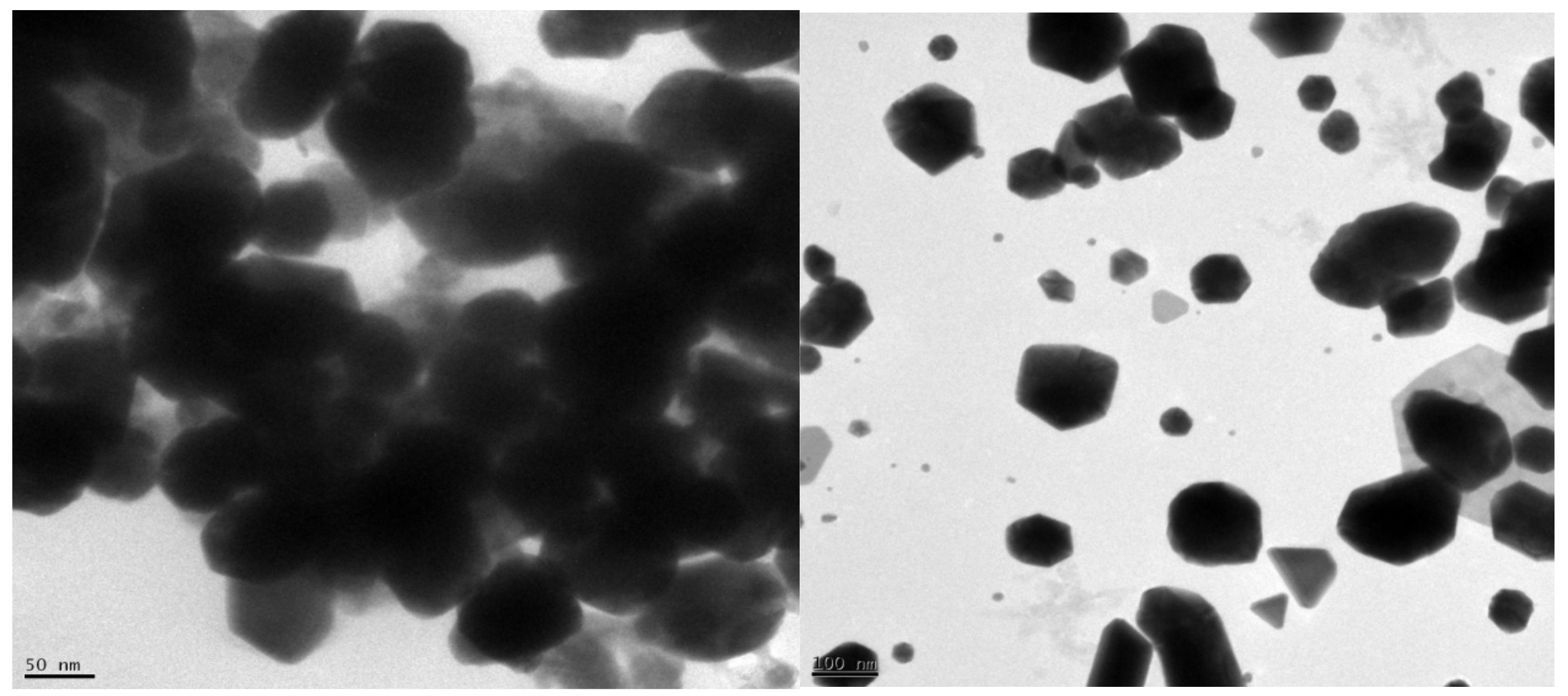 Molecules 27 01391 g005 Molecules 27 01391 g005
