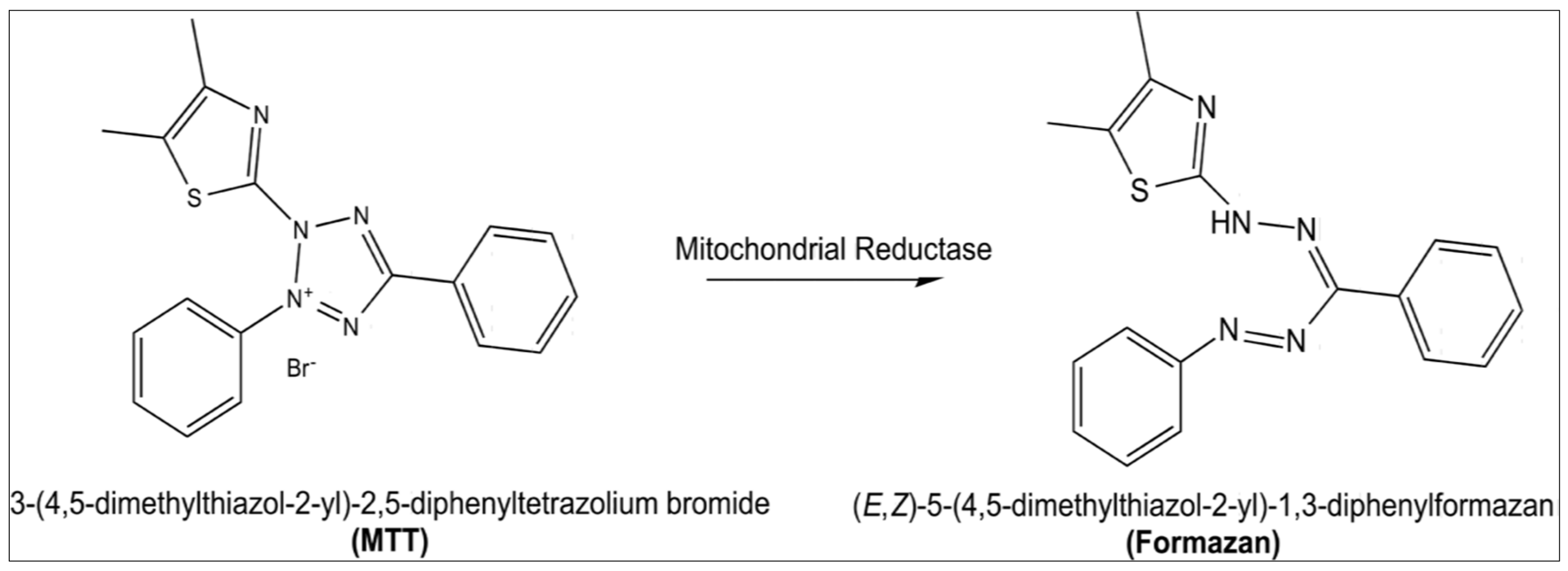 Molecules 27 01391 g008 Molecules 27 01391 g008