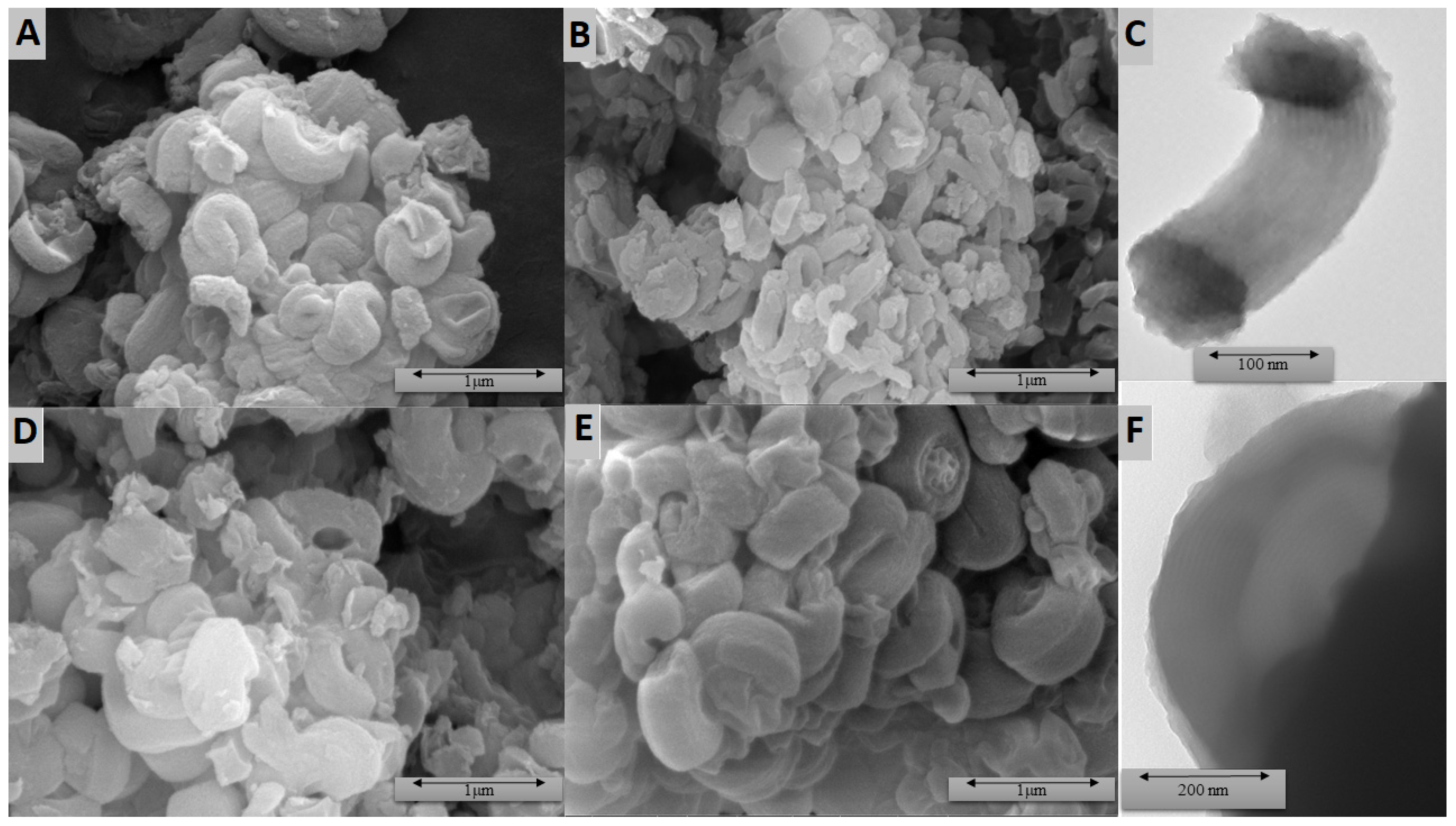 Molecules 27 01405 g003