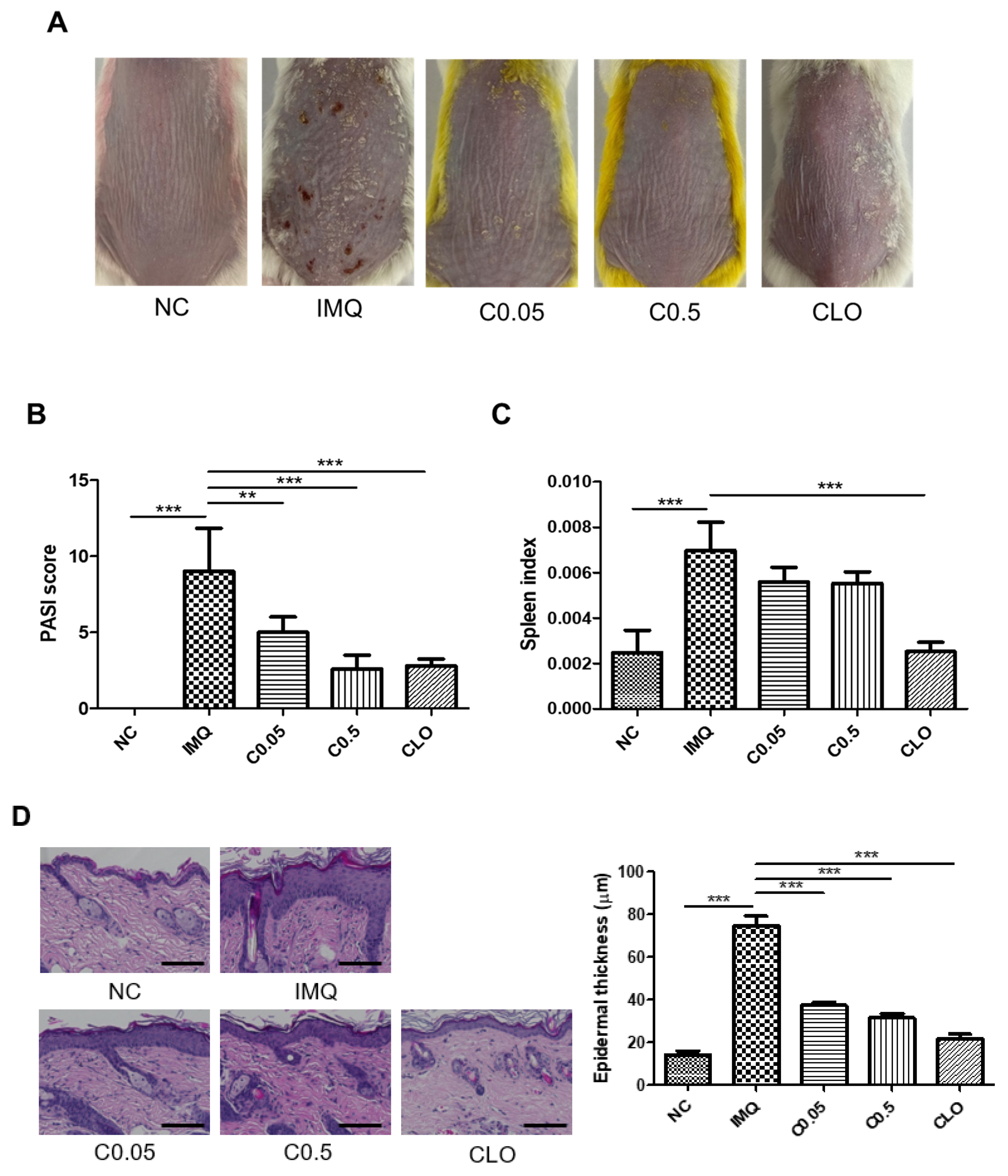 Molecules 27 01412 g001a Molecules 27 01412 g001a