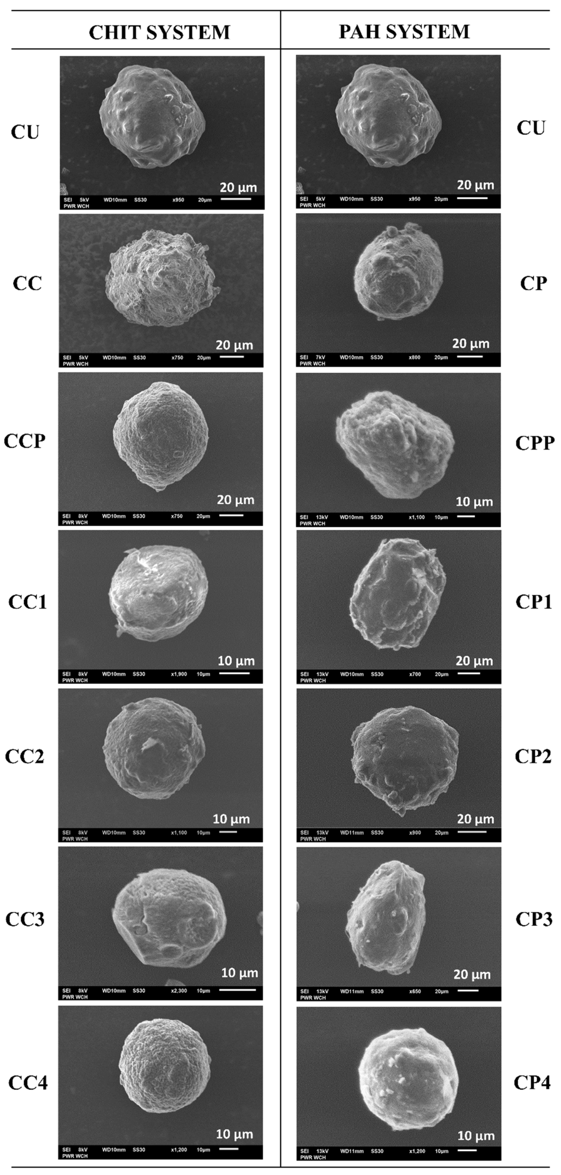 Molecules 27 01415 g004