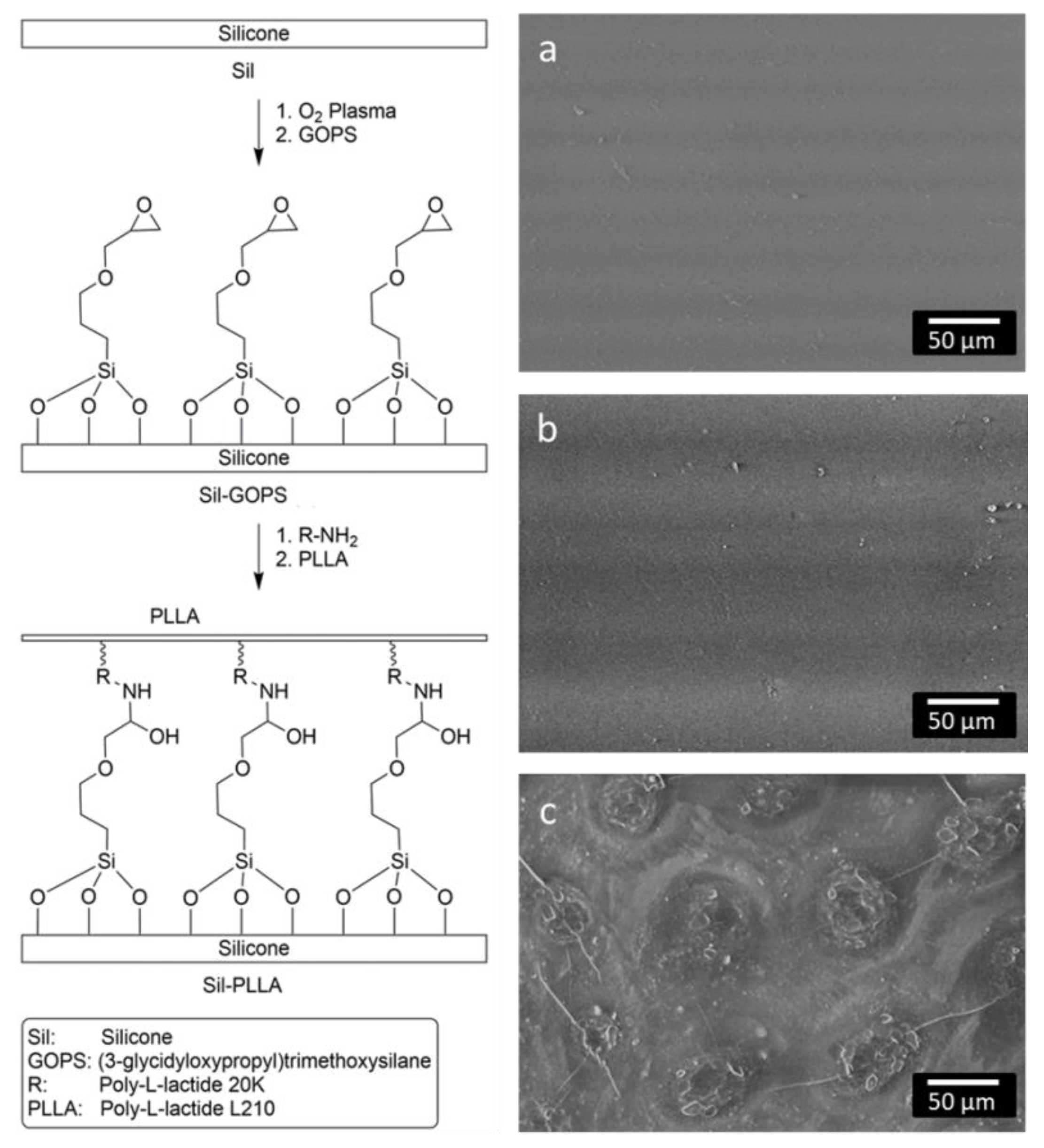 Molecules 27 01417 g002