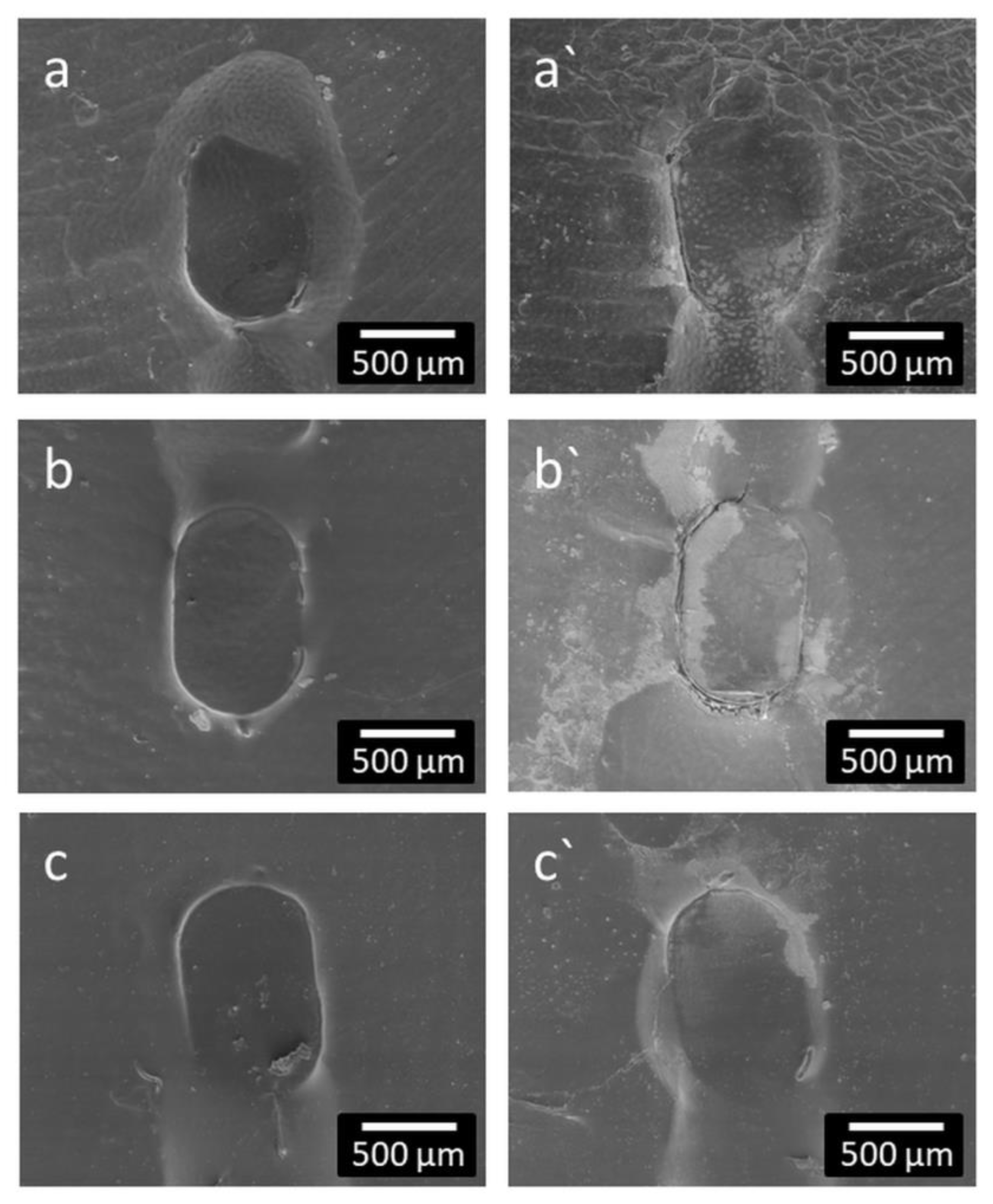 Molecules 27 01417 g008