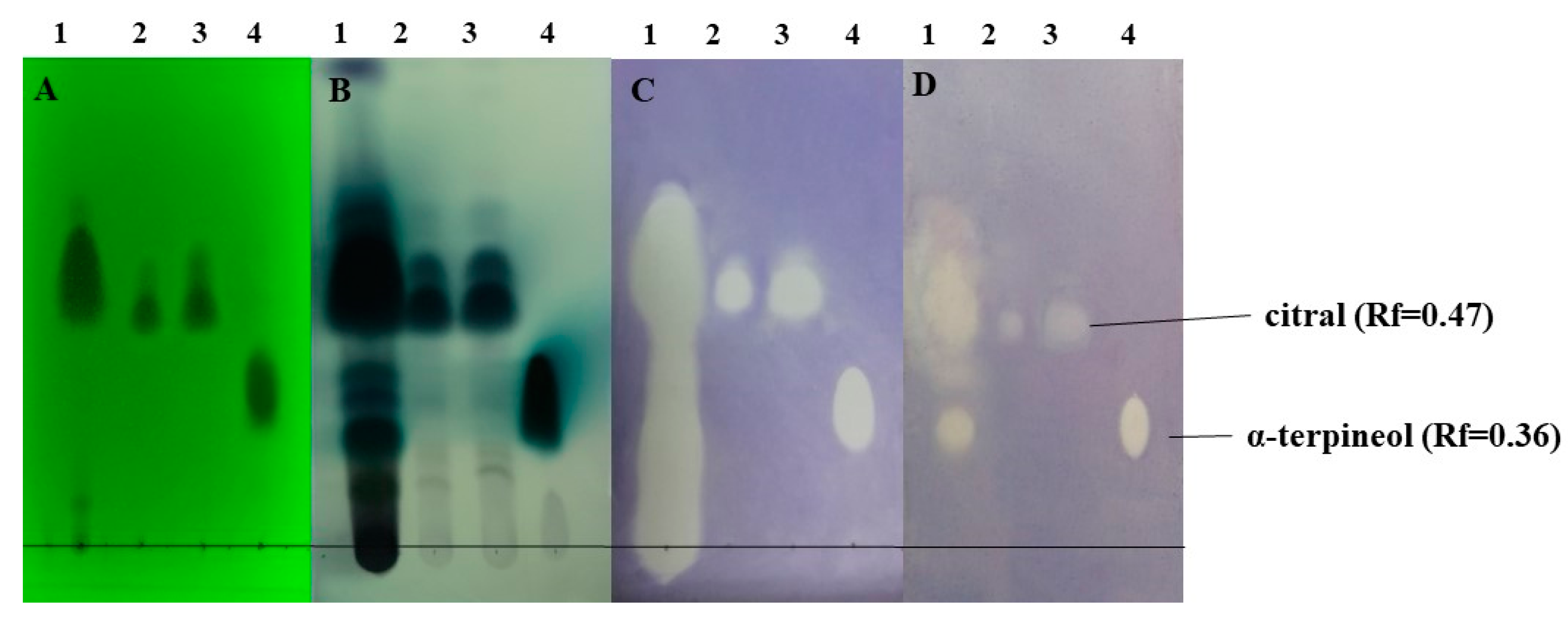 Molecules 27 01423 g005 Molecules 27 01423 g005