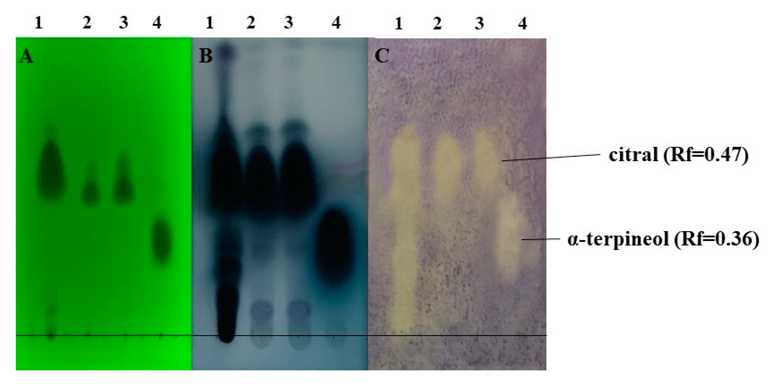 Molecules 27 01423 g006 Molecules 27 01423 g006