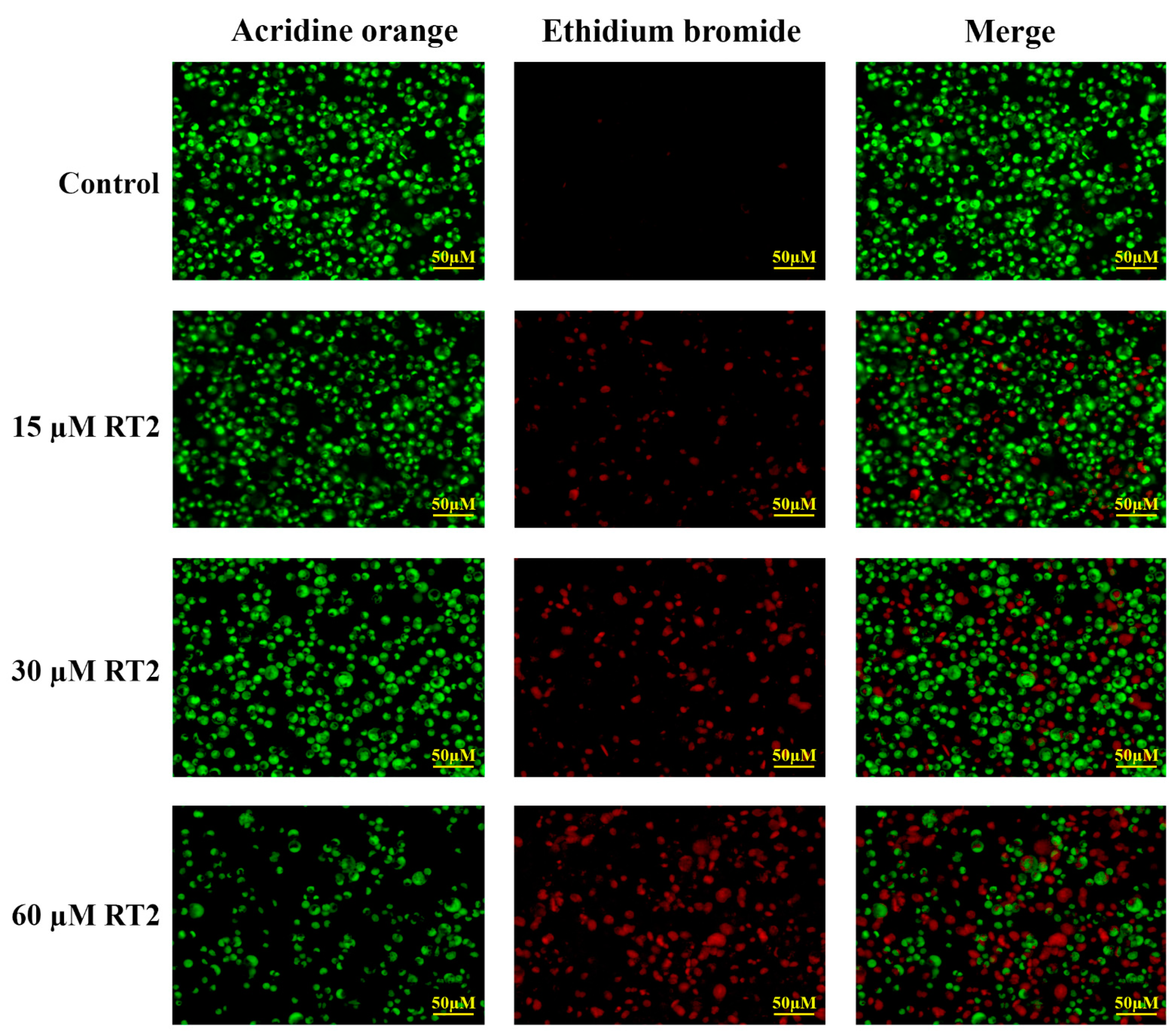 Molecules 27 01426 g004 Molecules 27 01426 g004