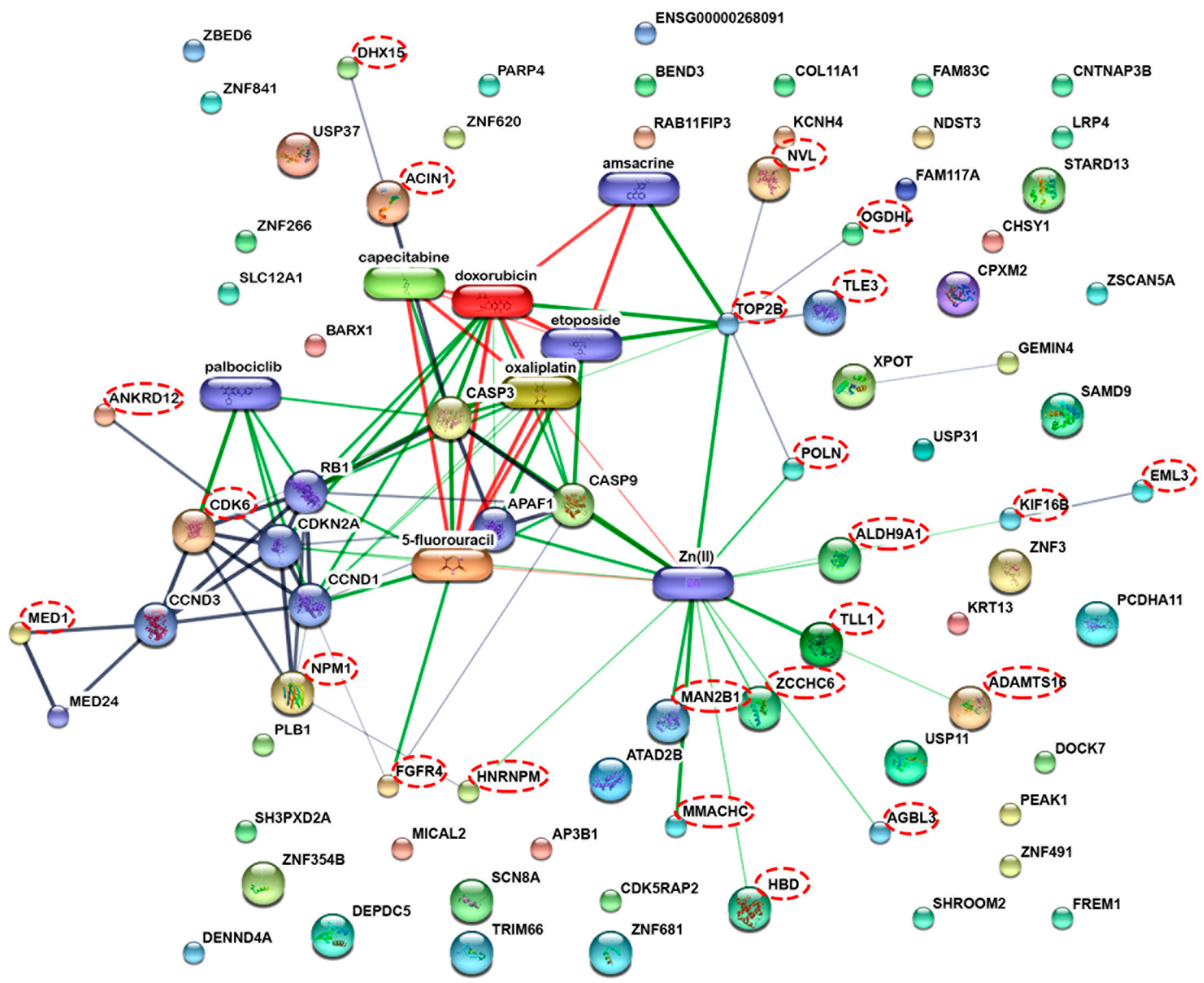 Molecules 27 01426 g007 Molecules 27 01426 g007