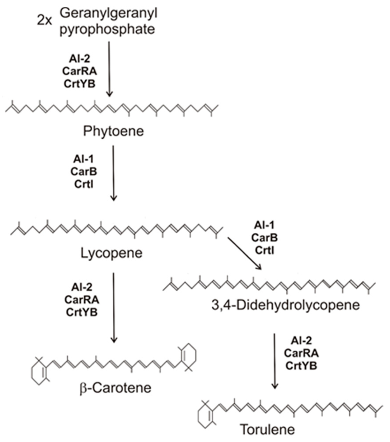 Molecules Free FullText Carotenoids and Their Biosynthesis in Fungi