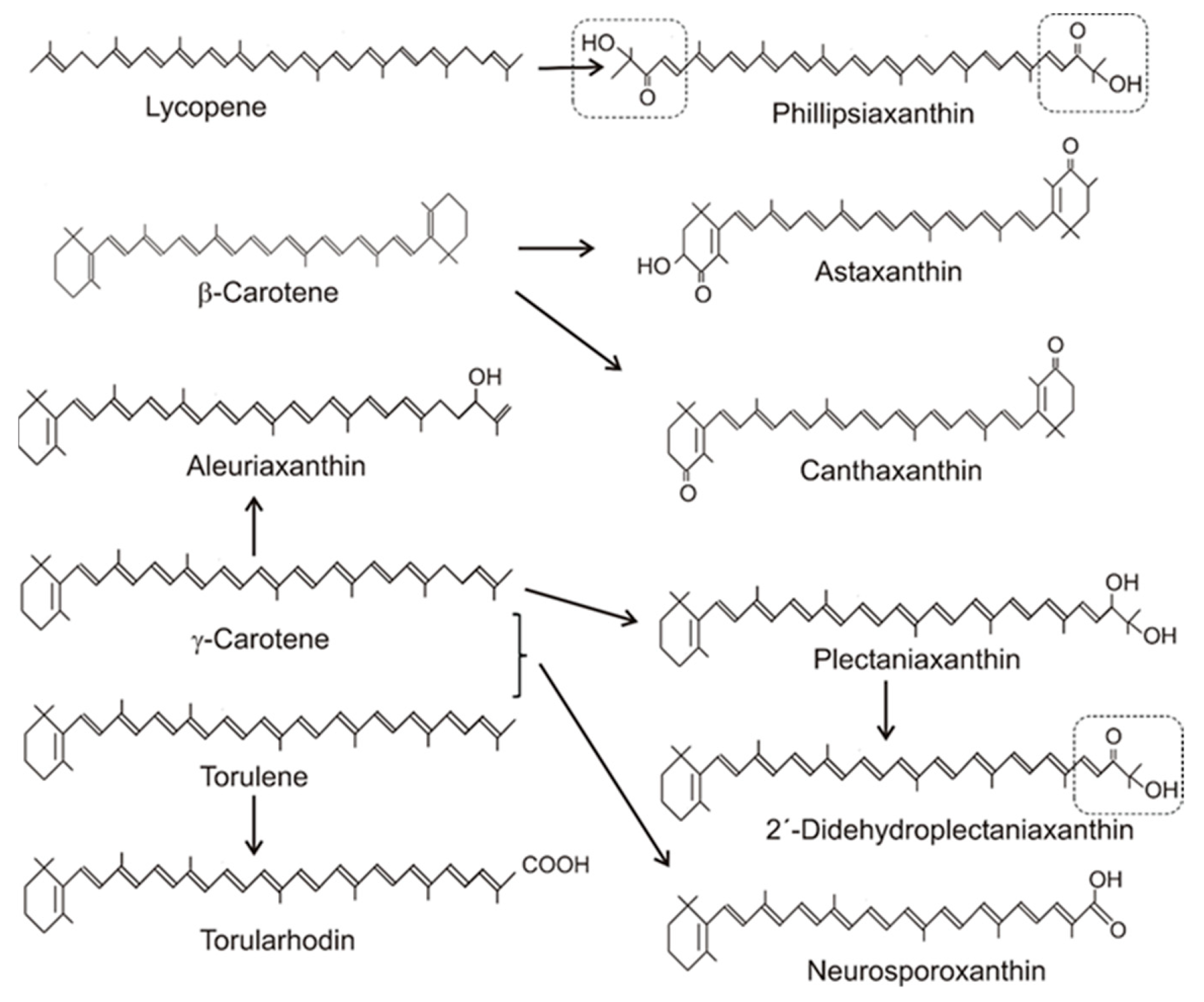 Molecules 27 01431 g004 Molecules 27 01431 g004