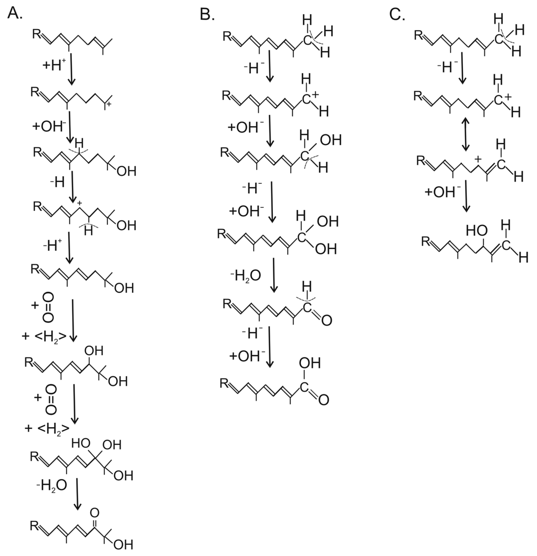 Molecules 27 01431 g005 Molecules 27 01431 g005