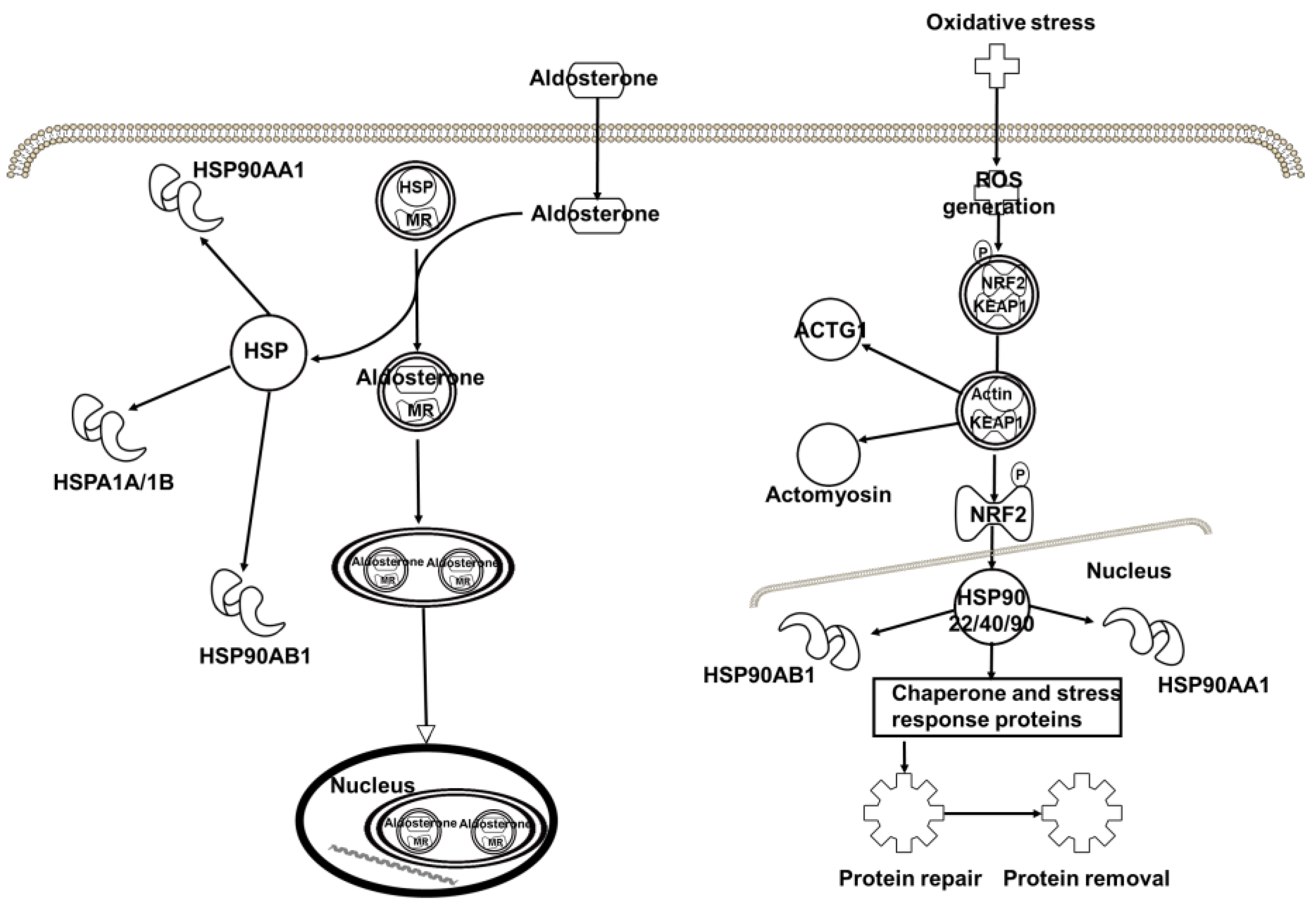 Molecules 27 01432 g008