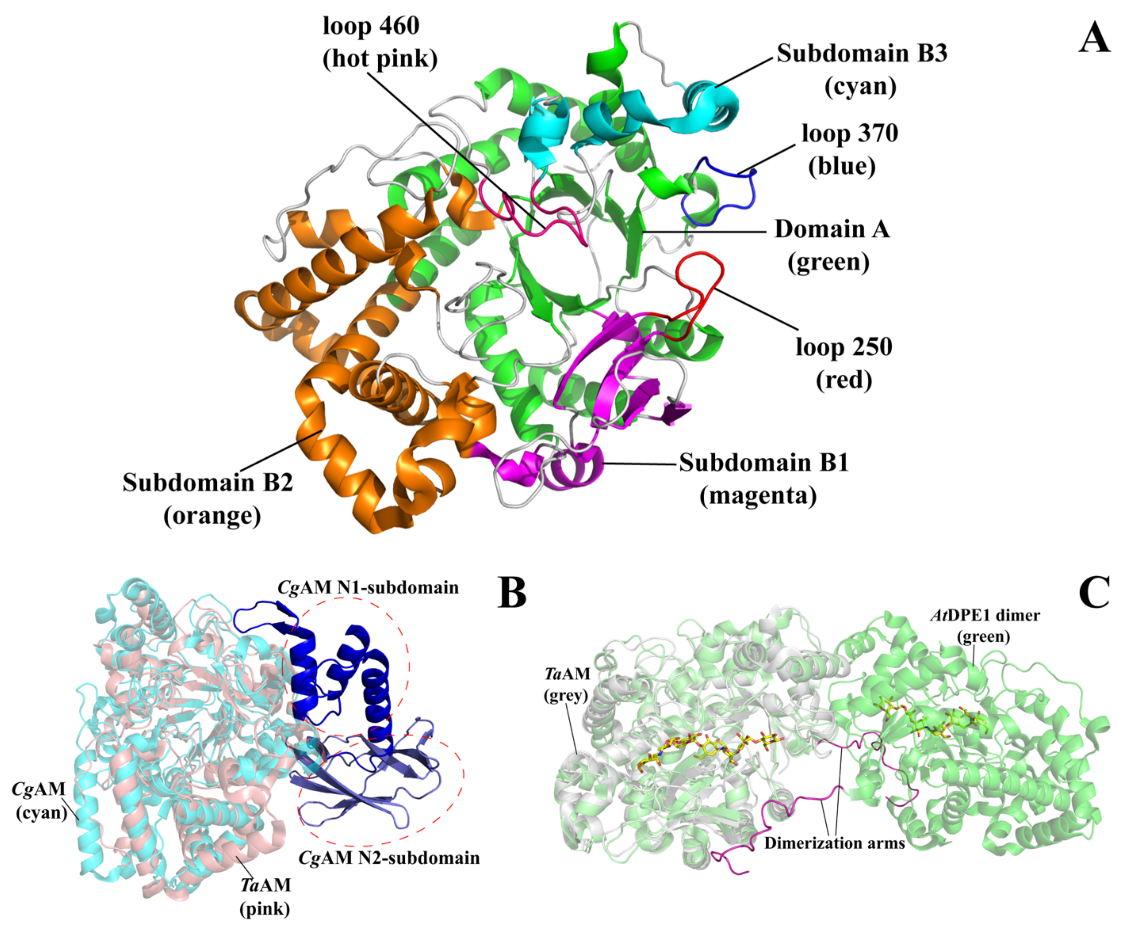 Molecules 27 01446 g001