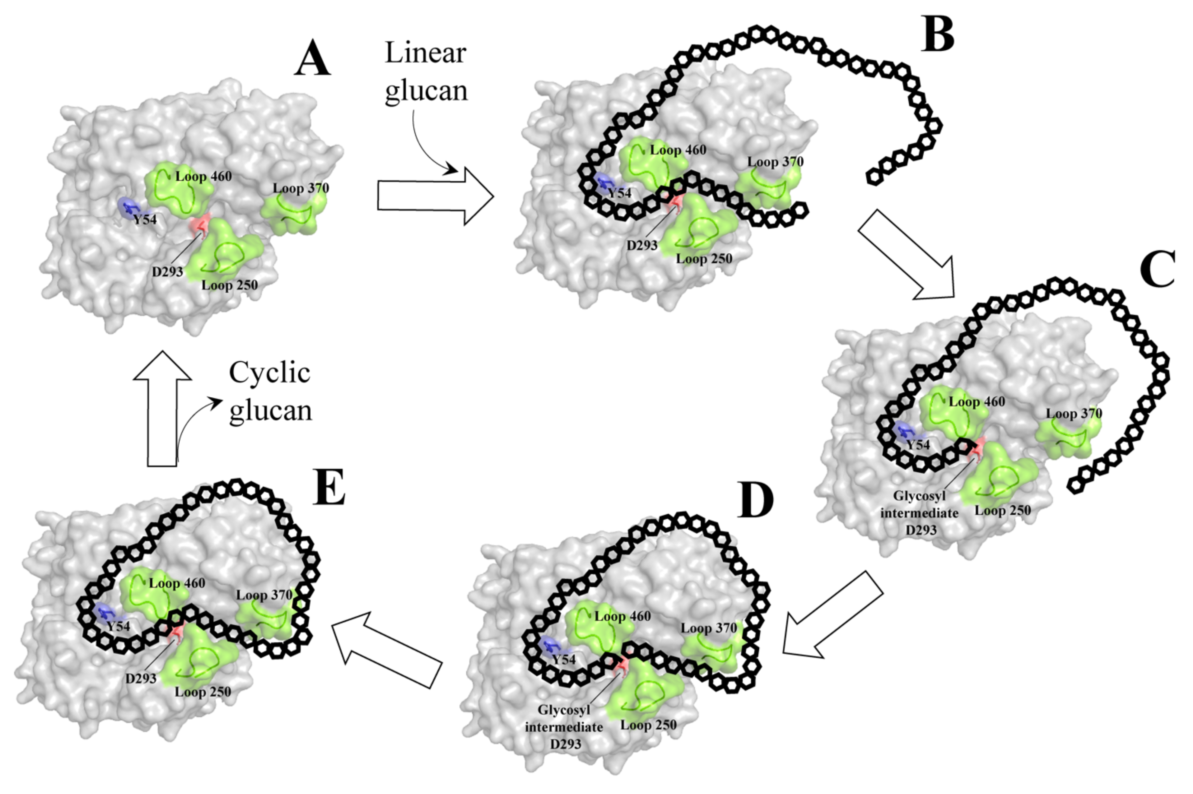 Molecules 27 01446 g003
