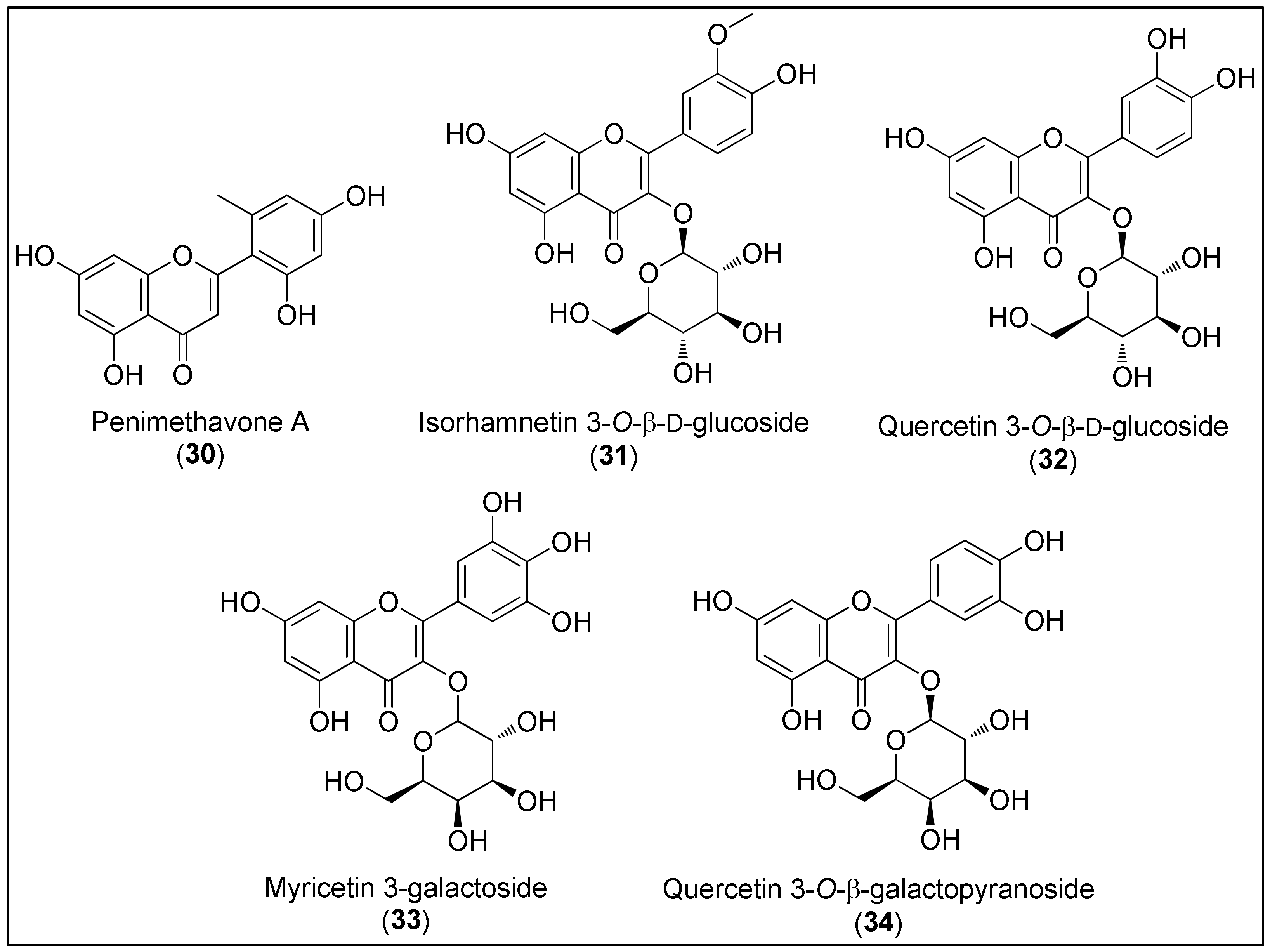 Molecules | Free Full-Text | Anticancer Activities of Marine 