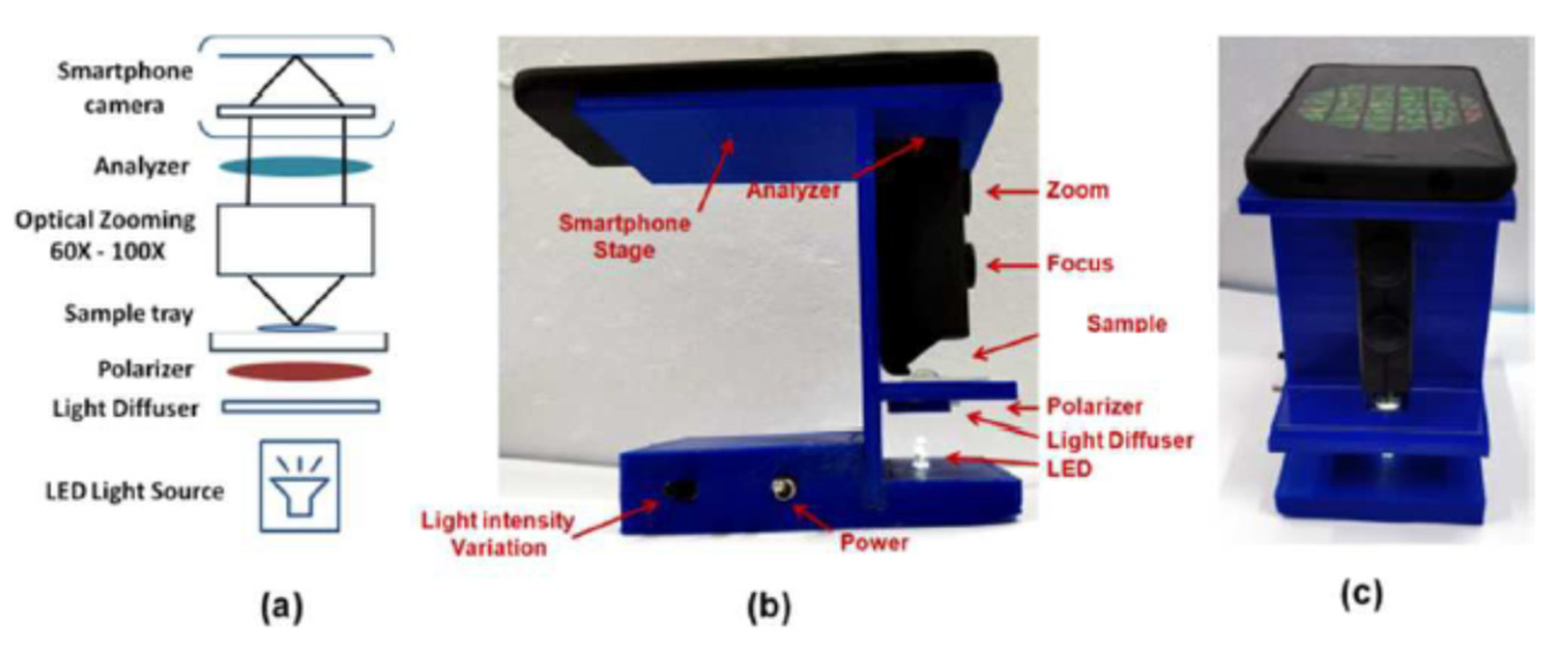 Molecules 27 01453 g008 Molecules 27 01453 g008