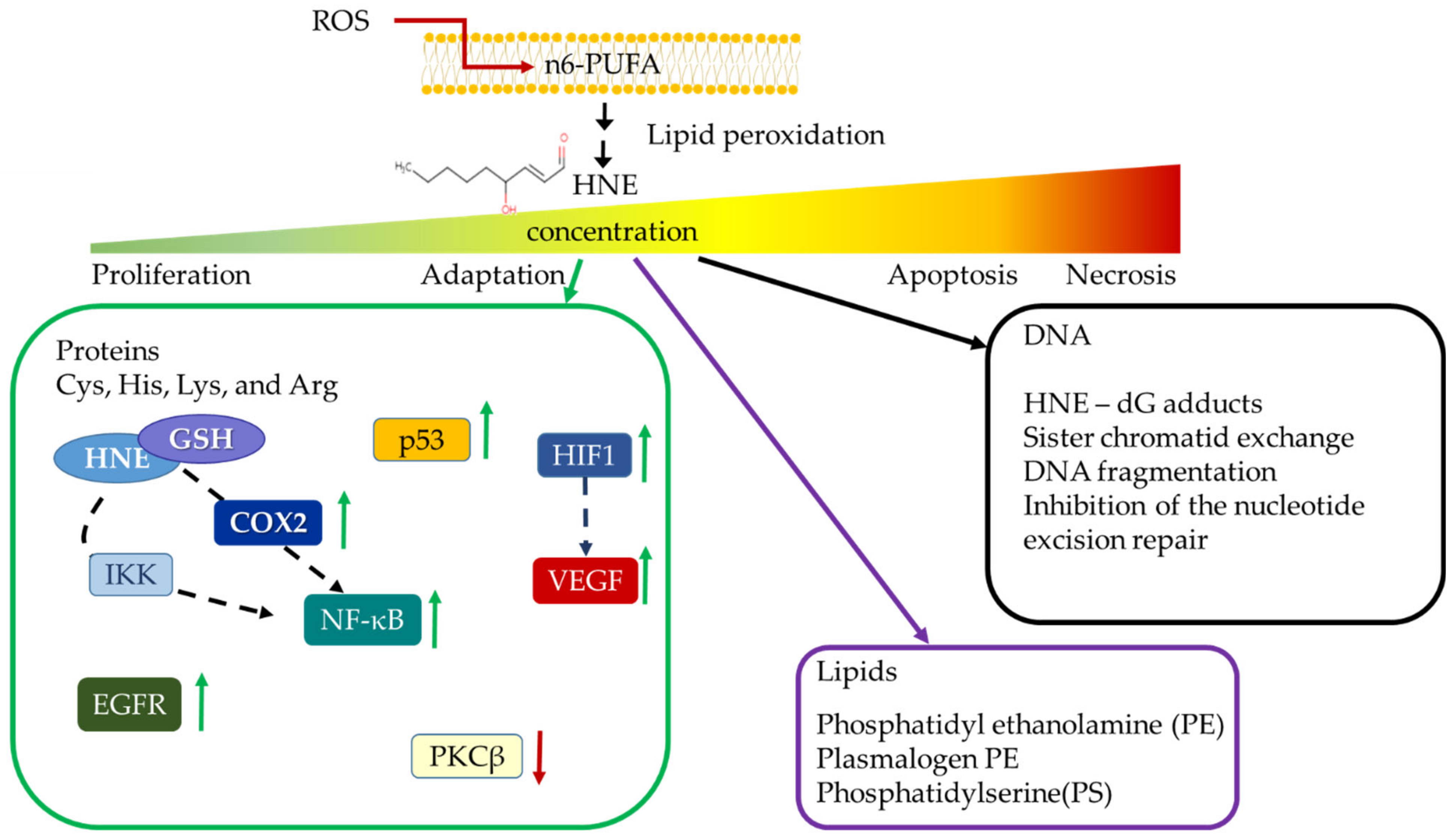 Molecules 27 01468 g001 Molecules 27 01468 g001
