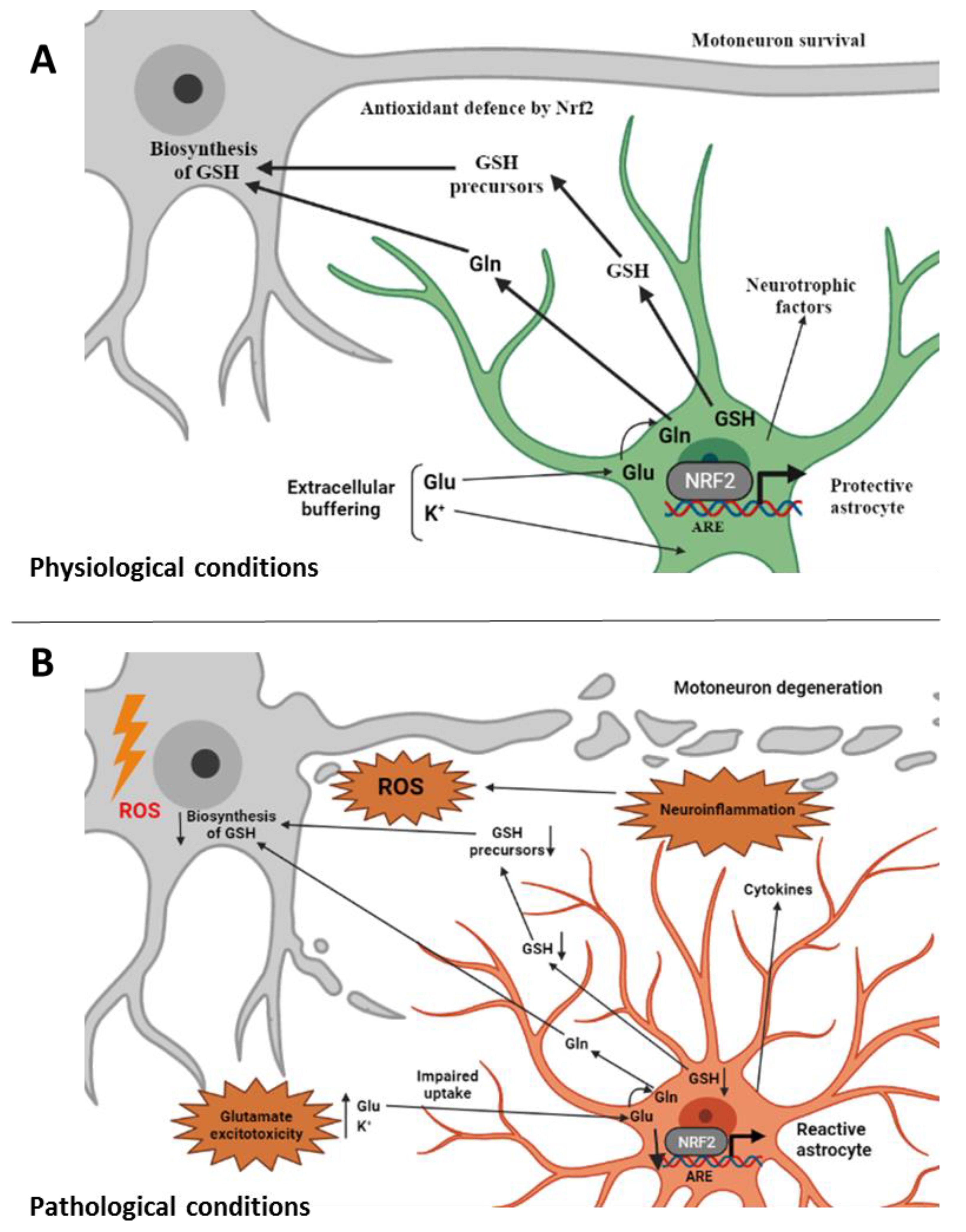Molecules 27 01471 g001 550
