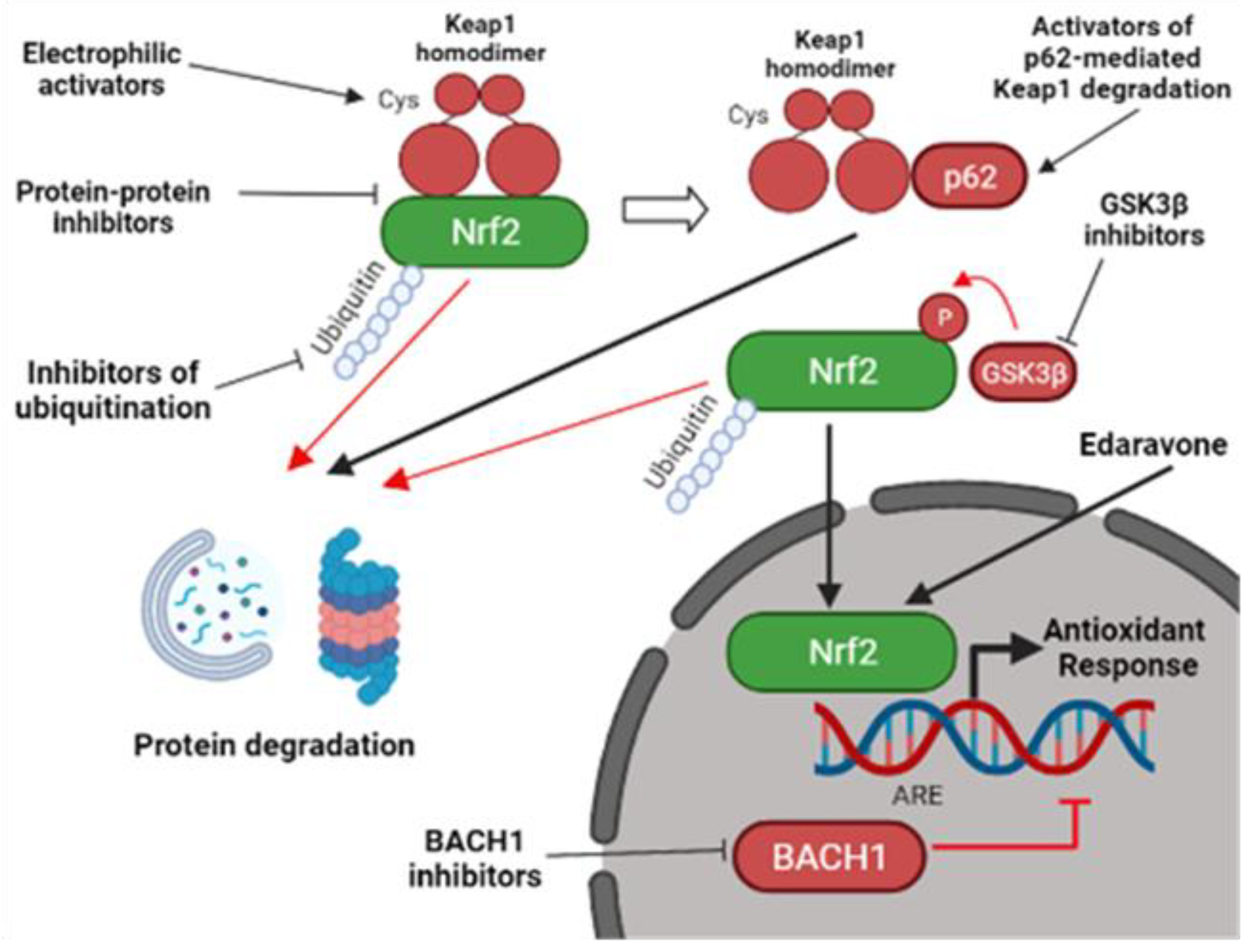 Molecules 27 01471 g002 550